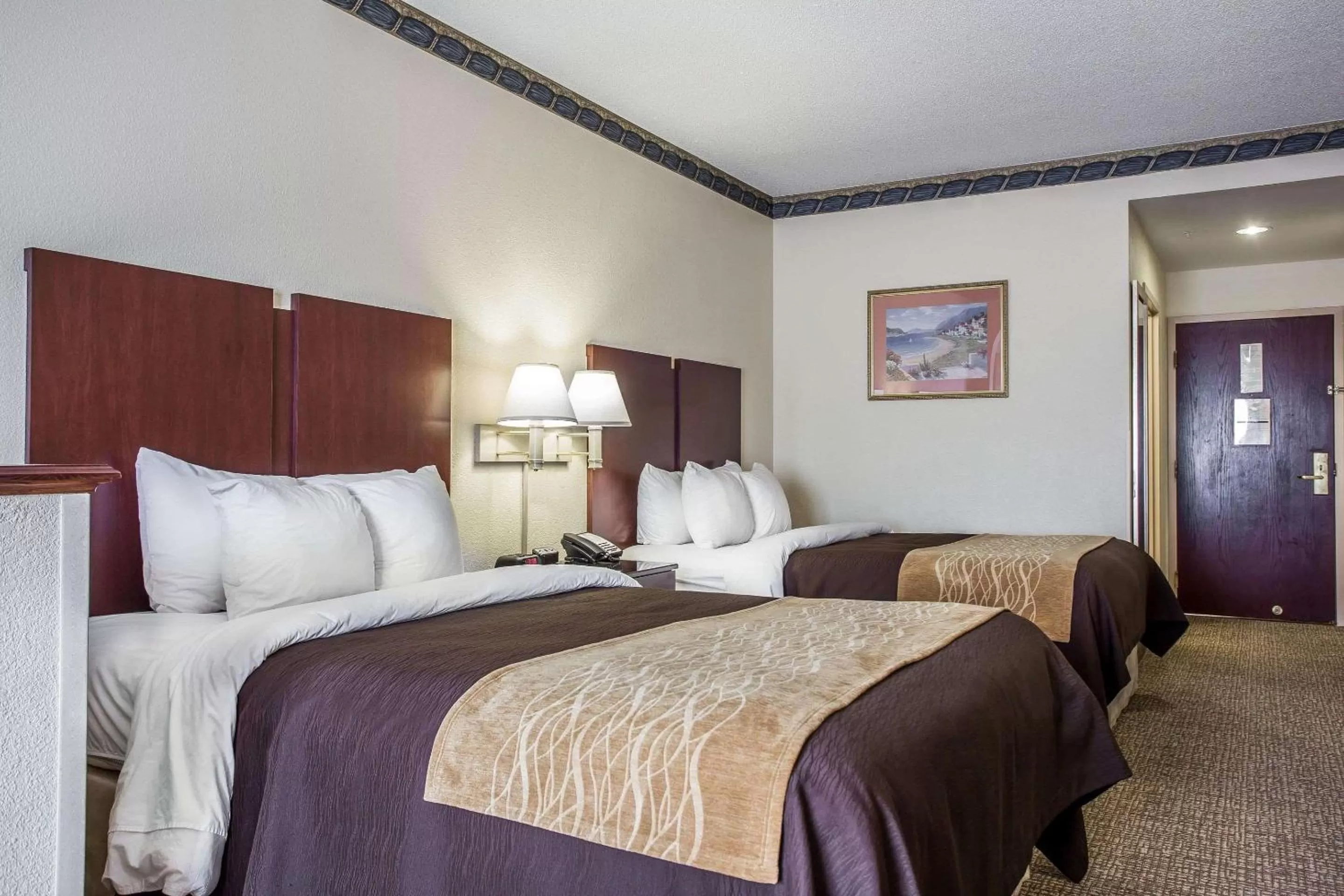 Photo of the whole room, Bed in Comfort Inn & Suites FtJackson Maingate