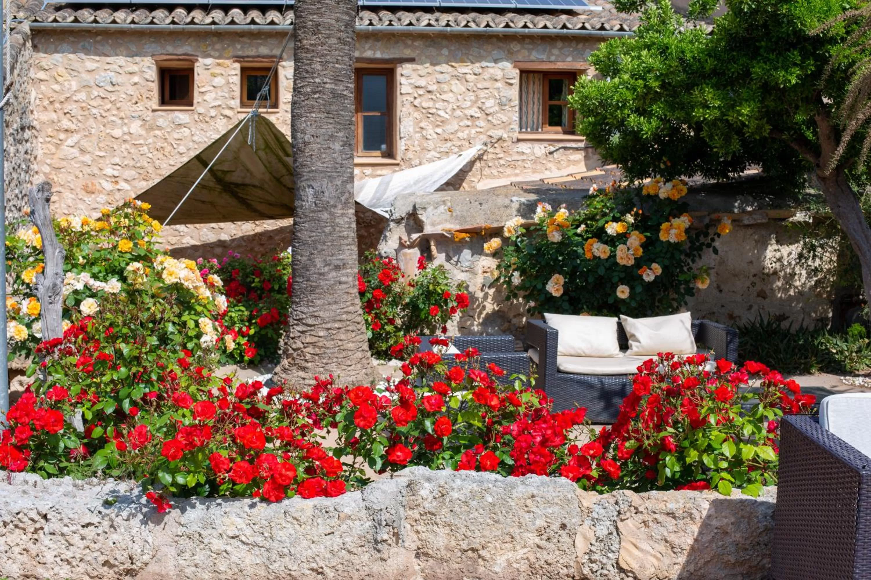 Property Building in Sa Barcella