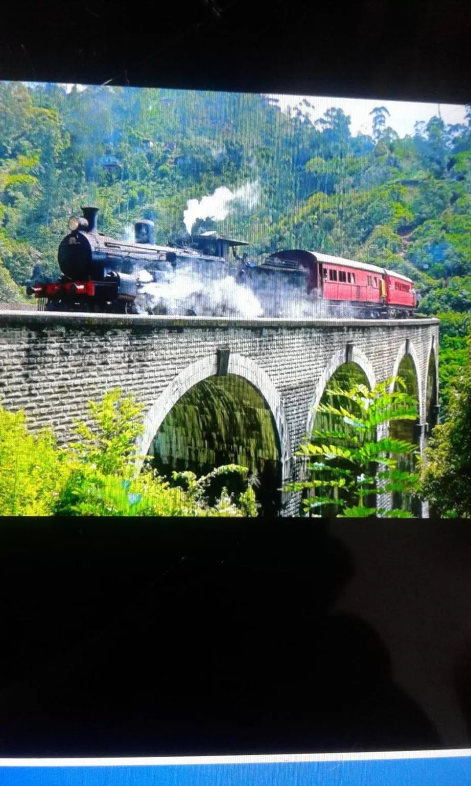 Ella Lucky Panoramic