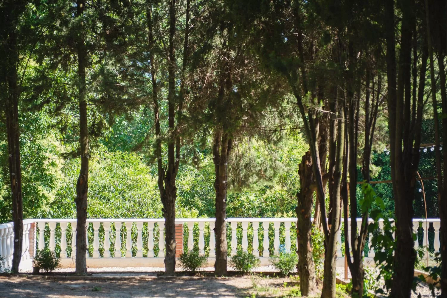 Restaurant/places to eat in Hotel Torre Barcelona