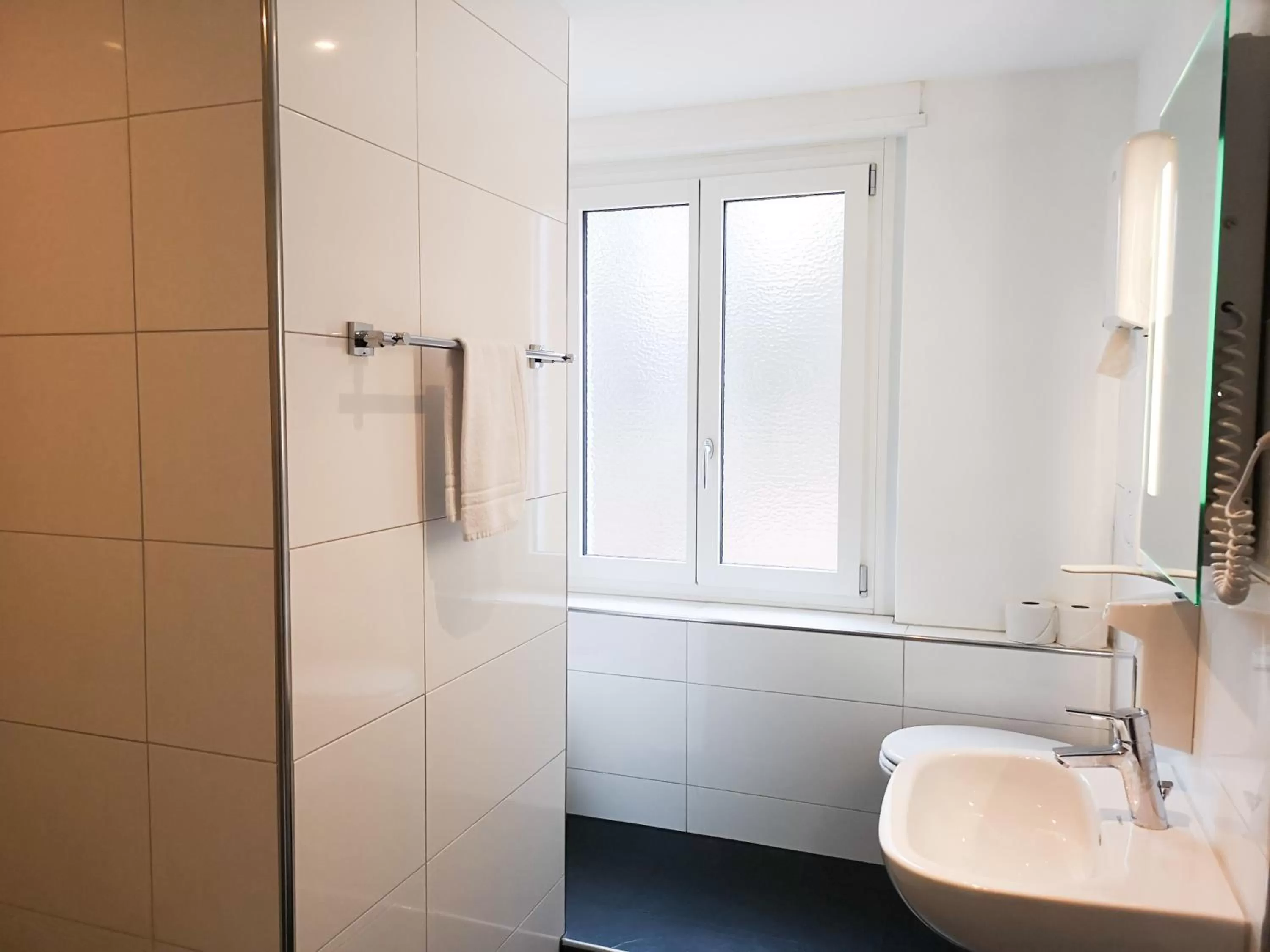 Toilet in Hotel Sonnenberg