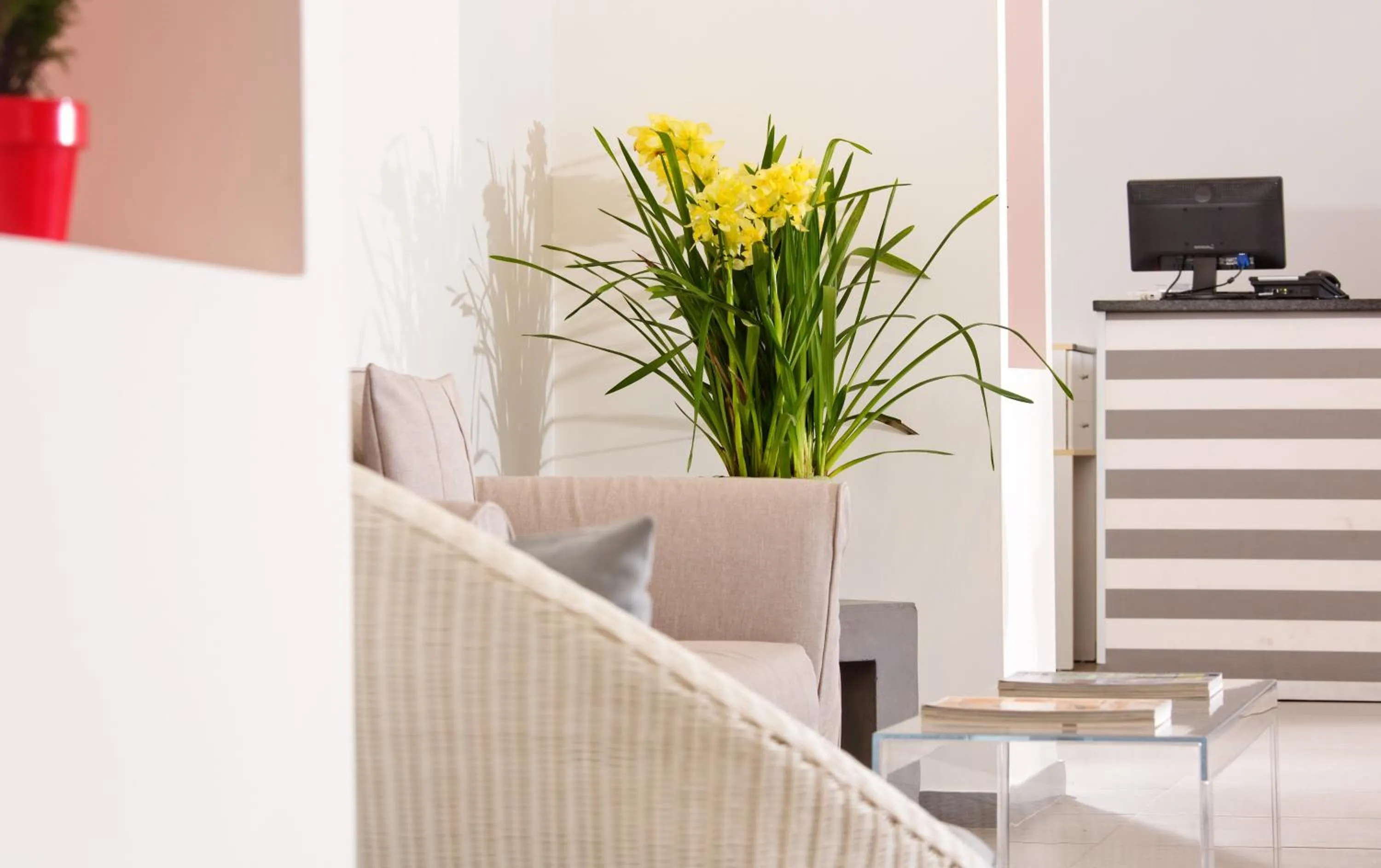 Activities in Hotel Spicy