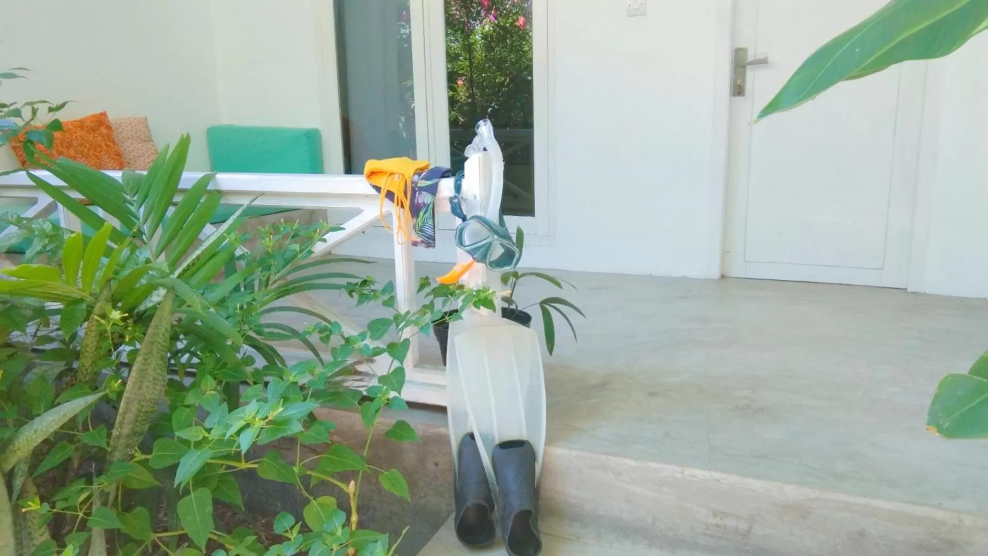 Snorkeling in Café des Arts Gili Air