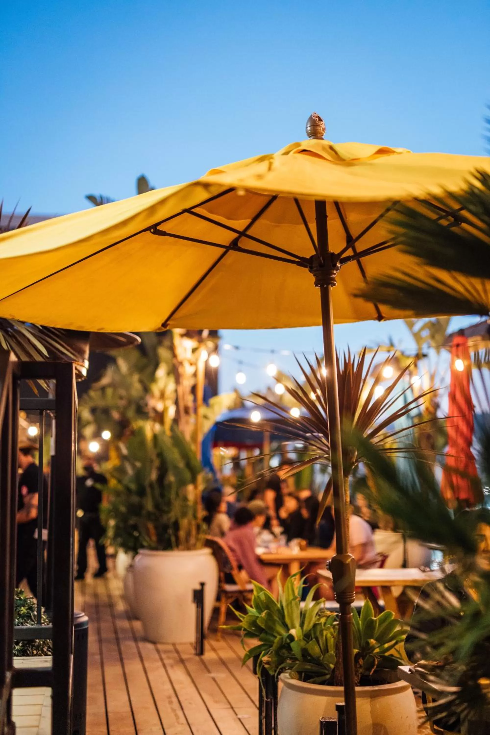 Patio in Mama Shelter Los Angeles