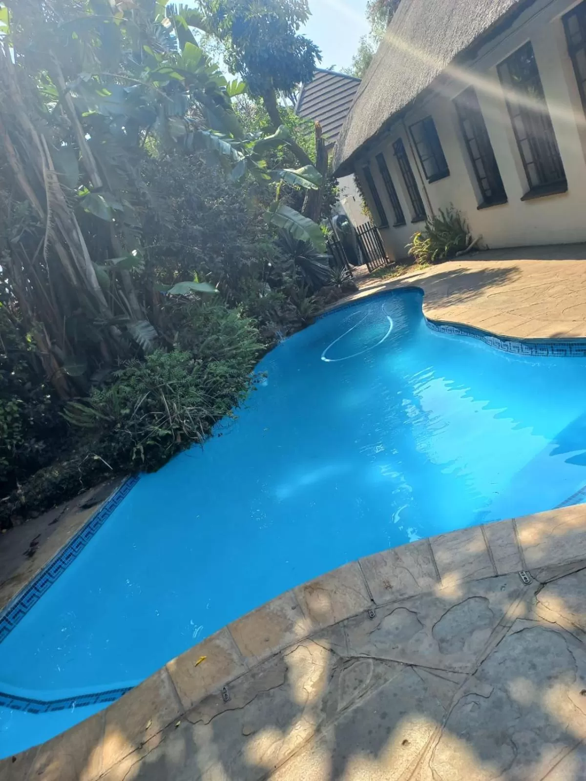 Swimming pool in Birch Tree Cottage