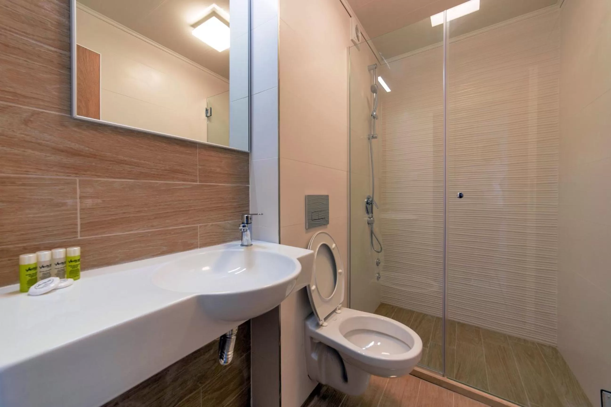 Bathroom in Hotel Verticalplus