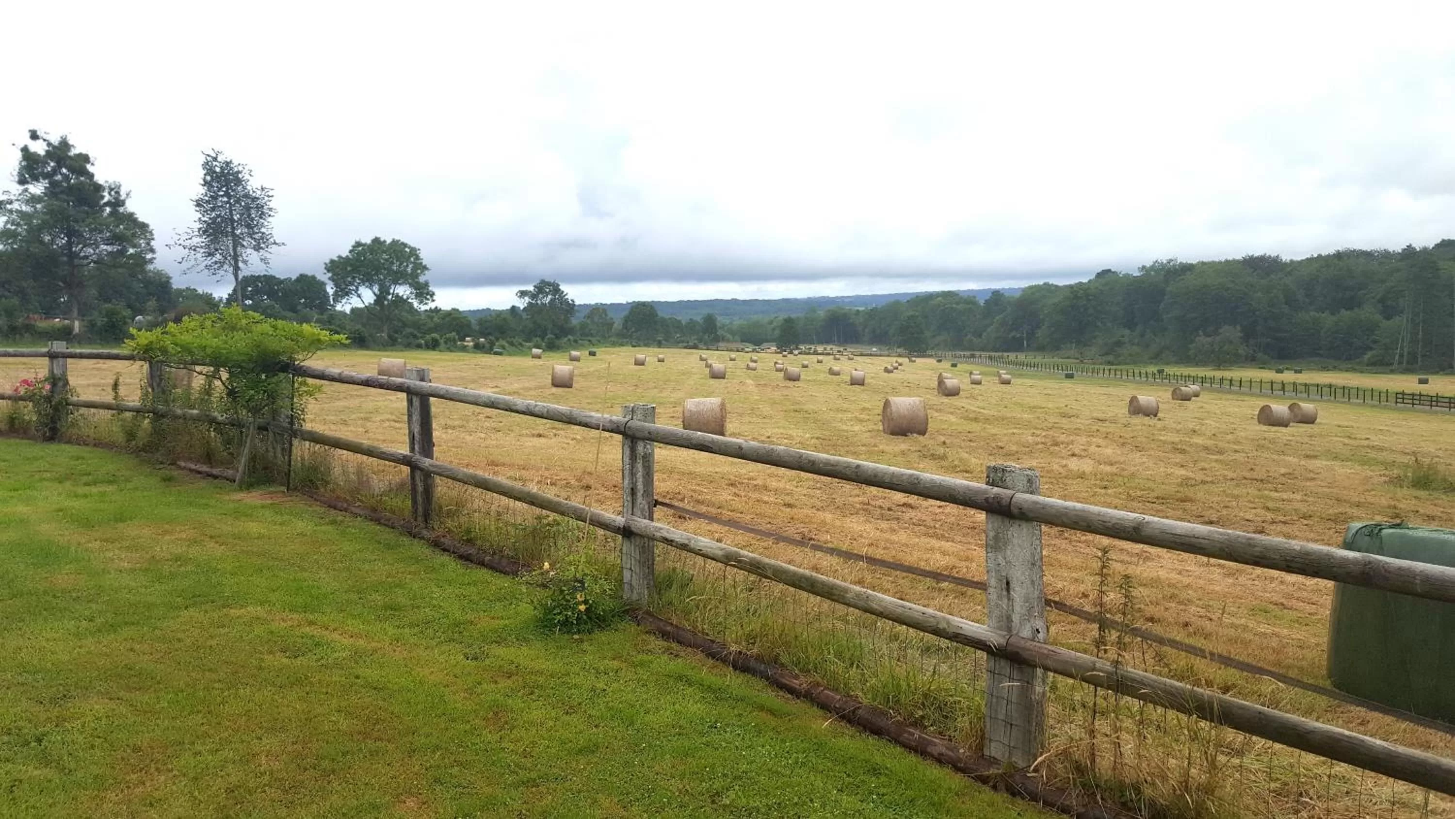 Natural landscape in L'Herbe aux Vaches