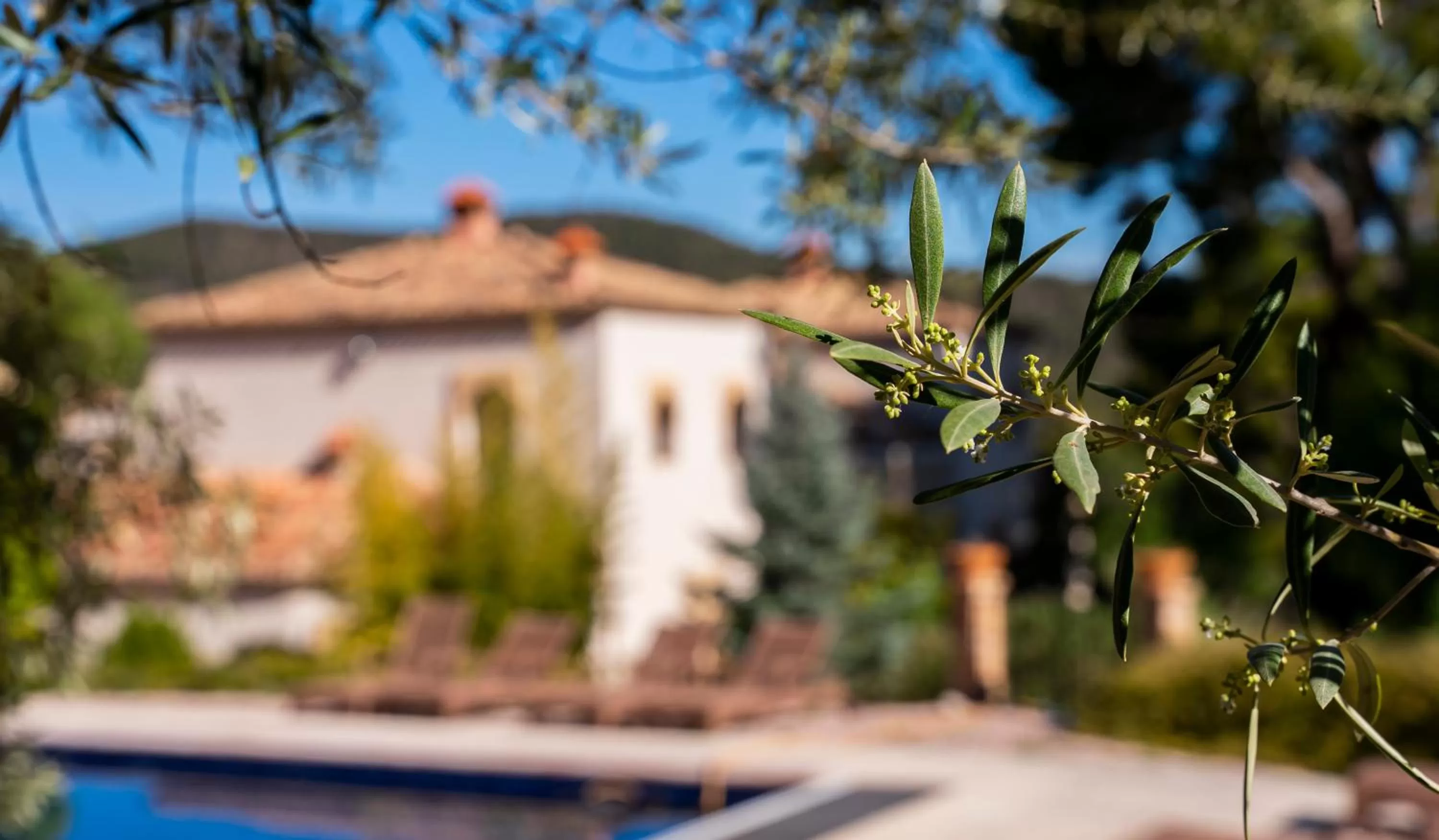 Swimming pool in Eco Hotel con encanto Masía la Mota B&B