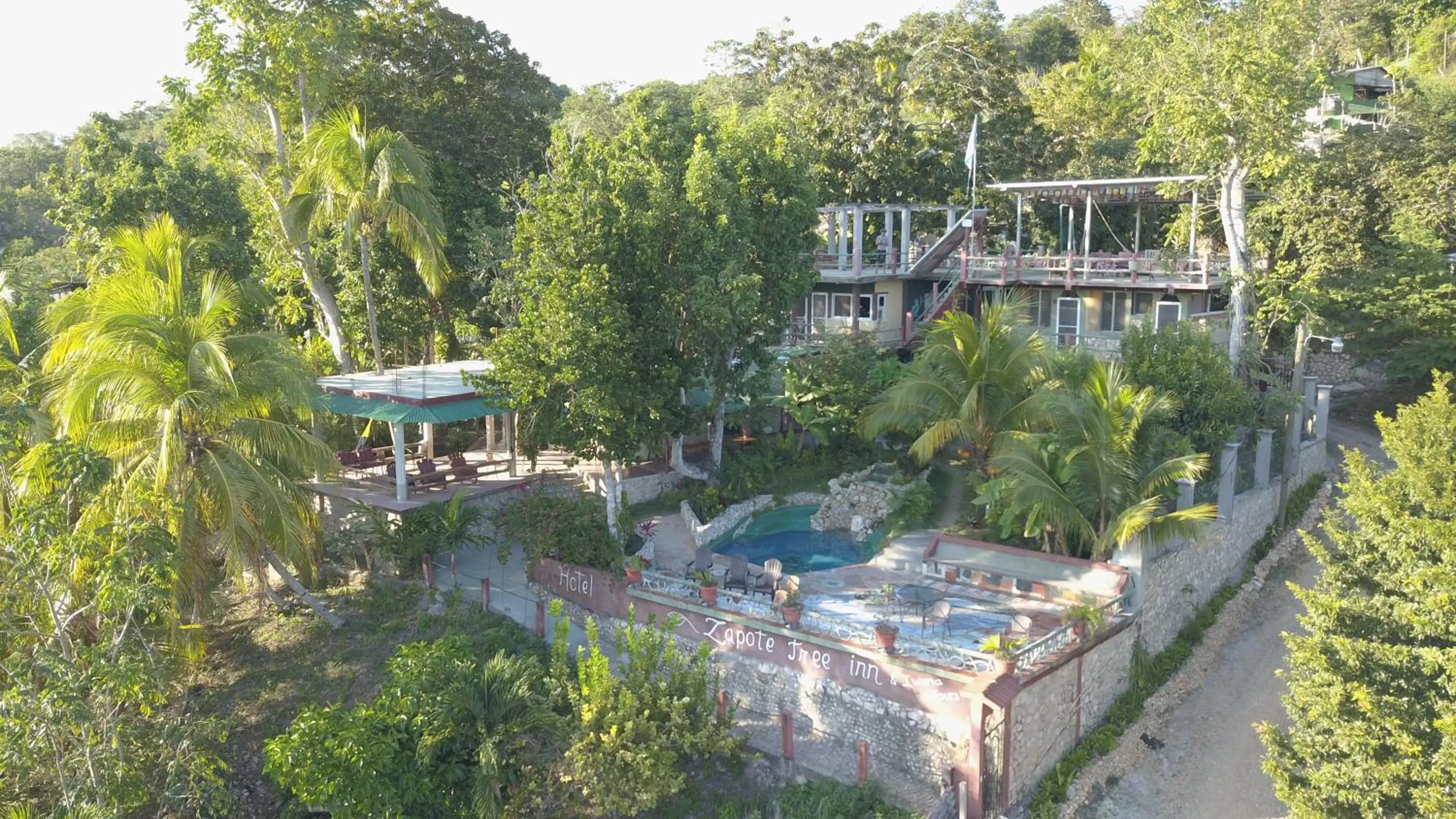 Bird's eye view in Zapote Tree Inn