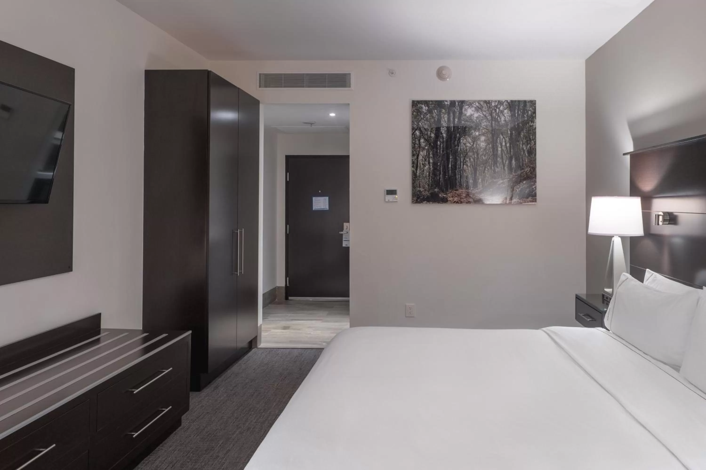 Photo of the whole room, Bed in Holiday Inn Express & Suites Silao Aeropuerto Terminal by IHG