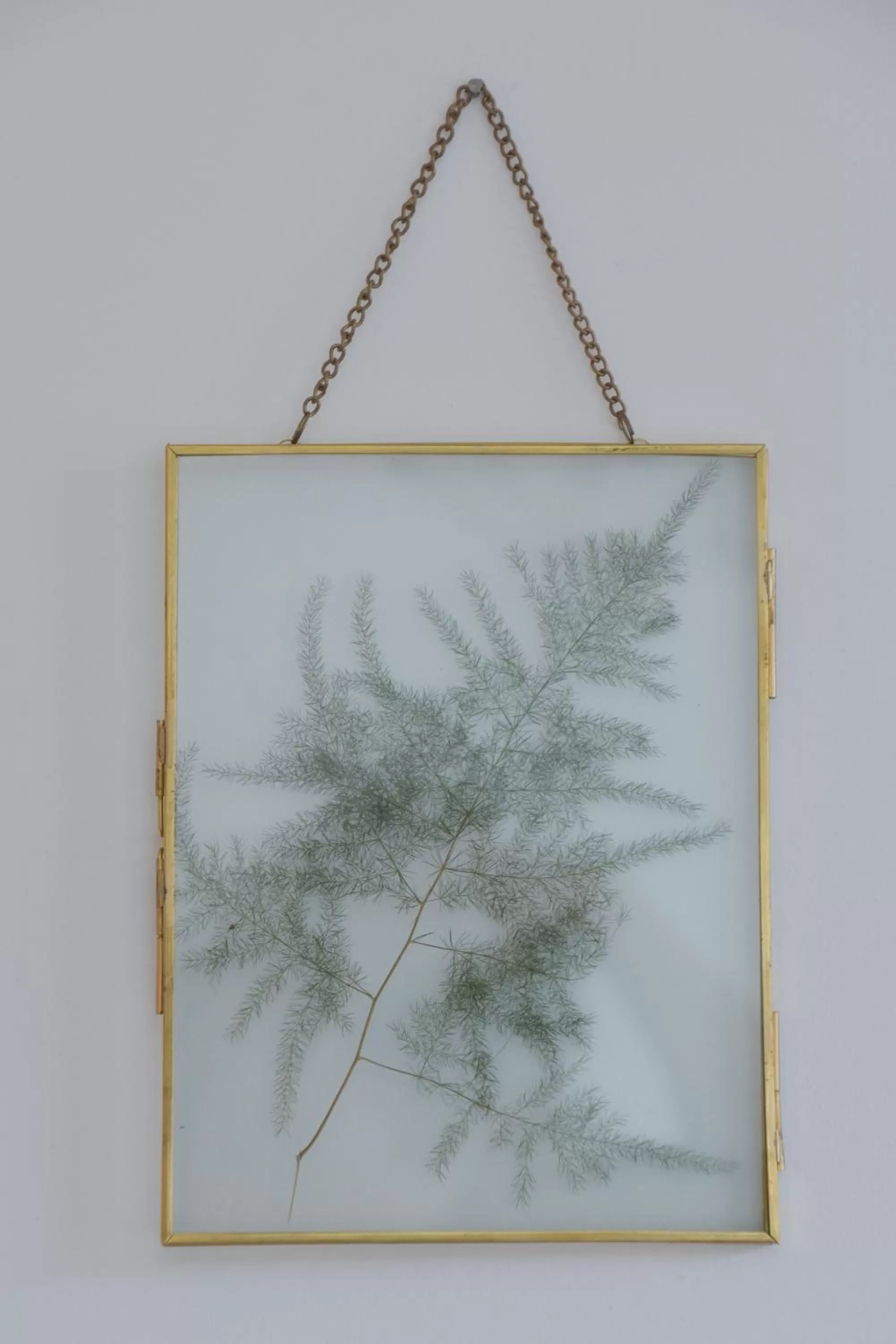 Le Bivouac - Toulouse