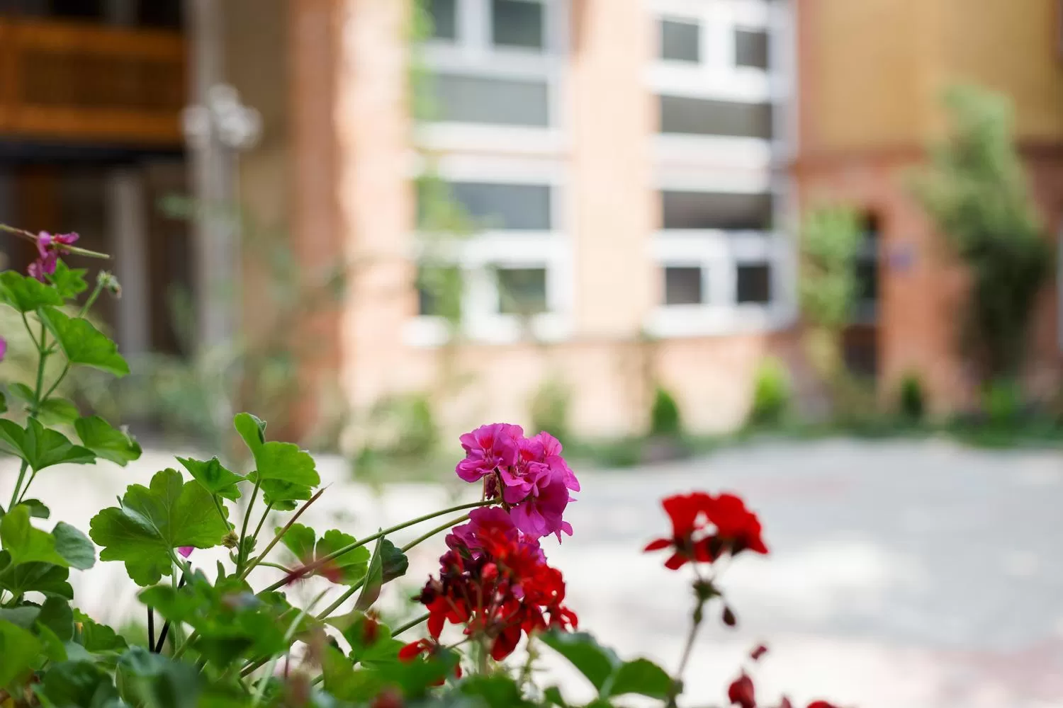 Garden view, Property Building in Aura Plaza Hotel