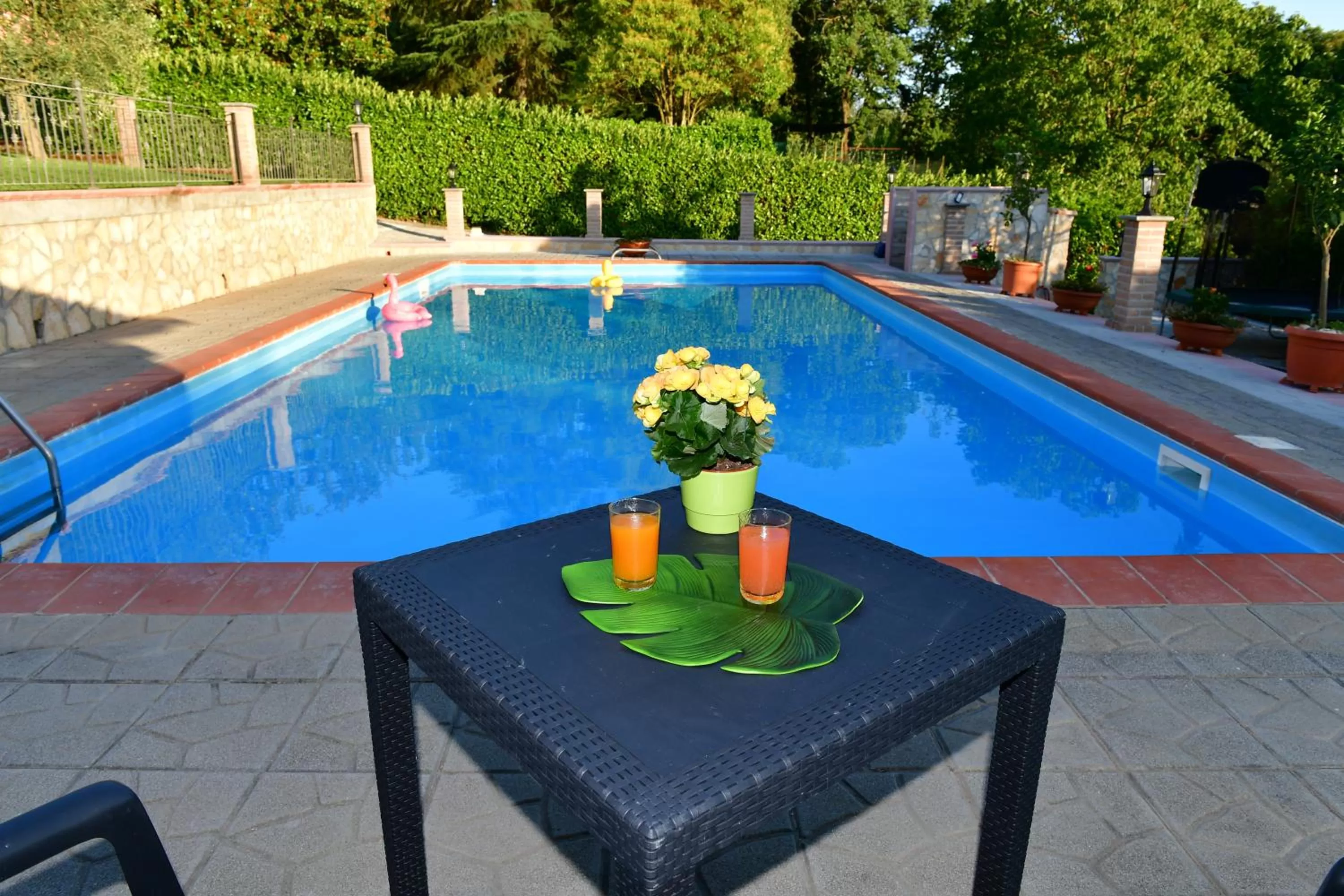 Swimming Pool in B&B Roman Country Villa