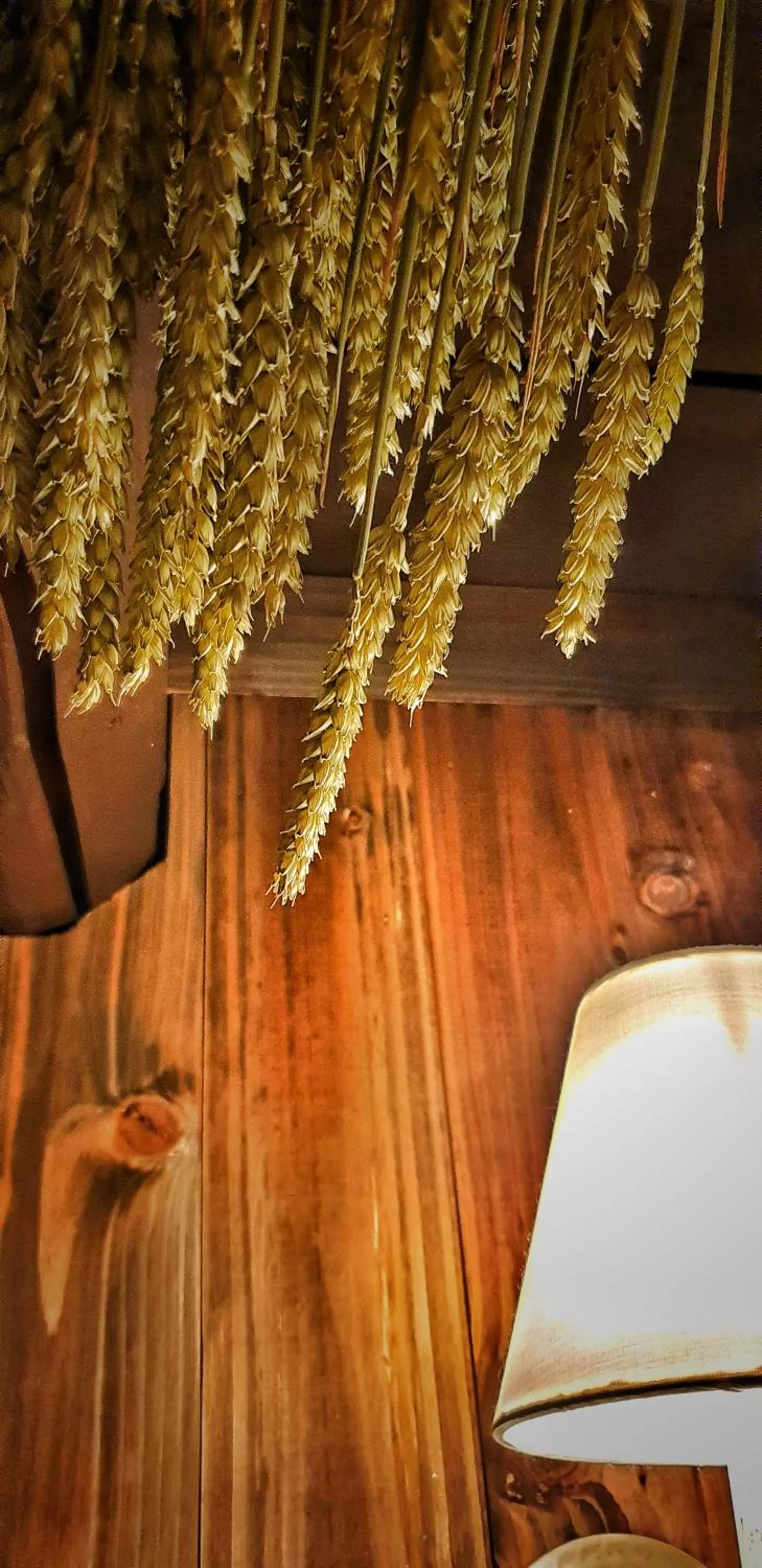 Decorative detail in Hotel Wellness Goldenes Fass Meißen