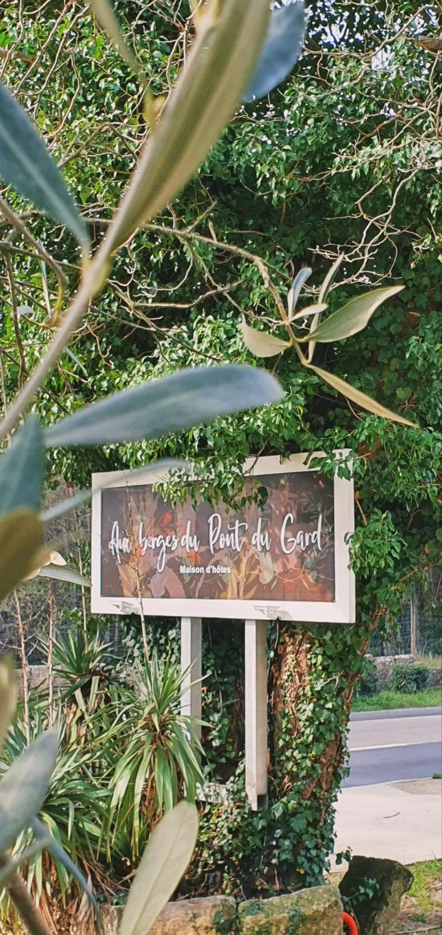 Aux berges du pont du gard