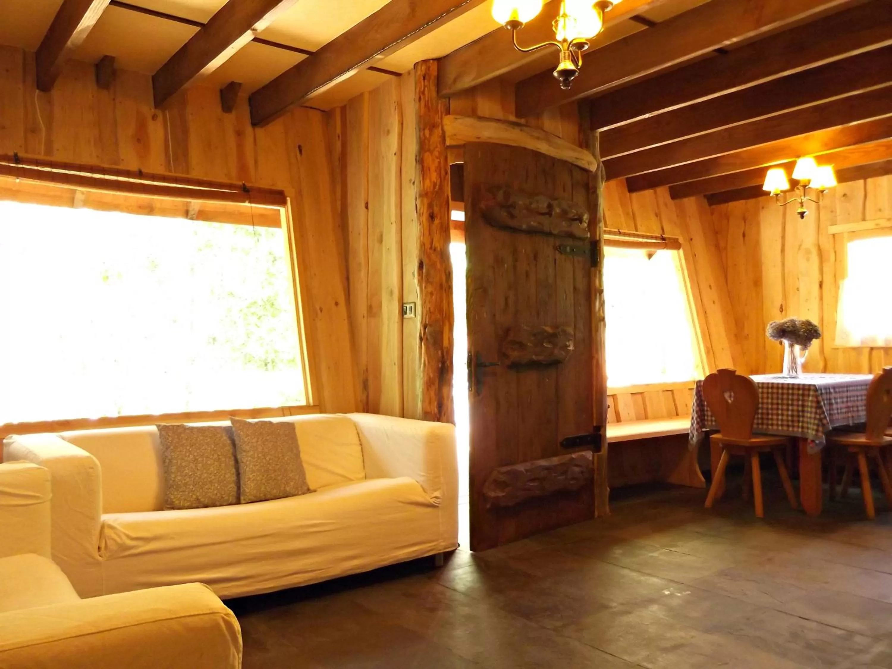 Living room, Seating Area in Hotel Salto del Carileufu
