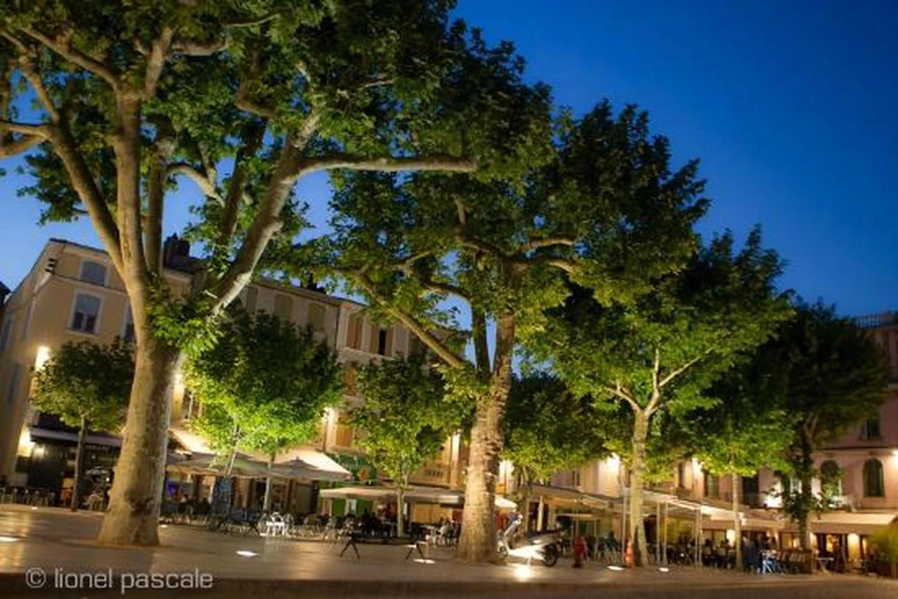 Activities in ibis Styles Romans-Valence Gare TGV