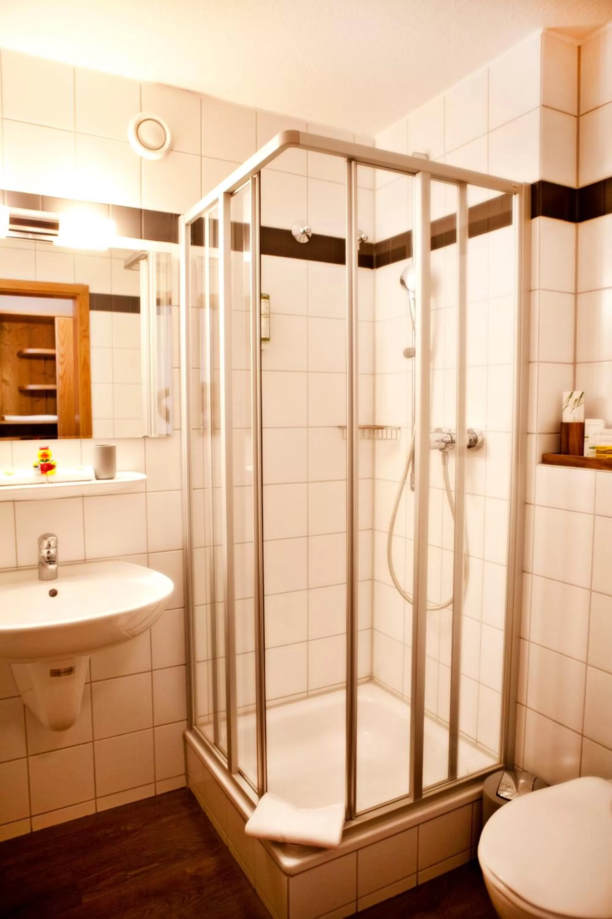 Shower in Hotel & Restaurant Zum Reussenstein