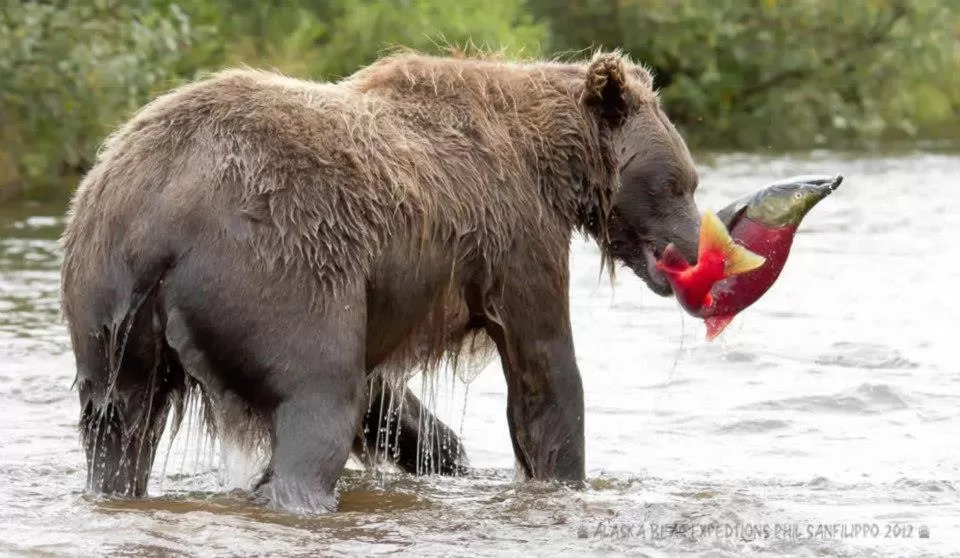 Off site, Other Animals in Halcyon Heights B&B/Inn