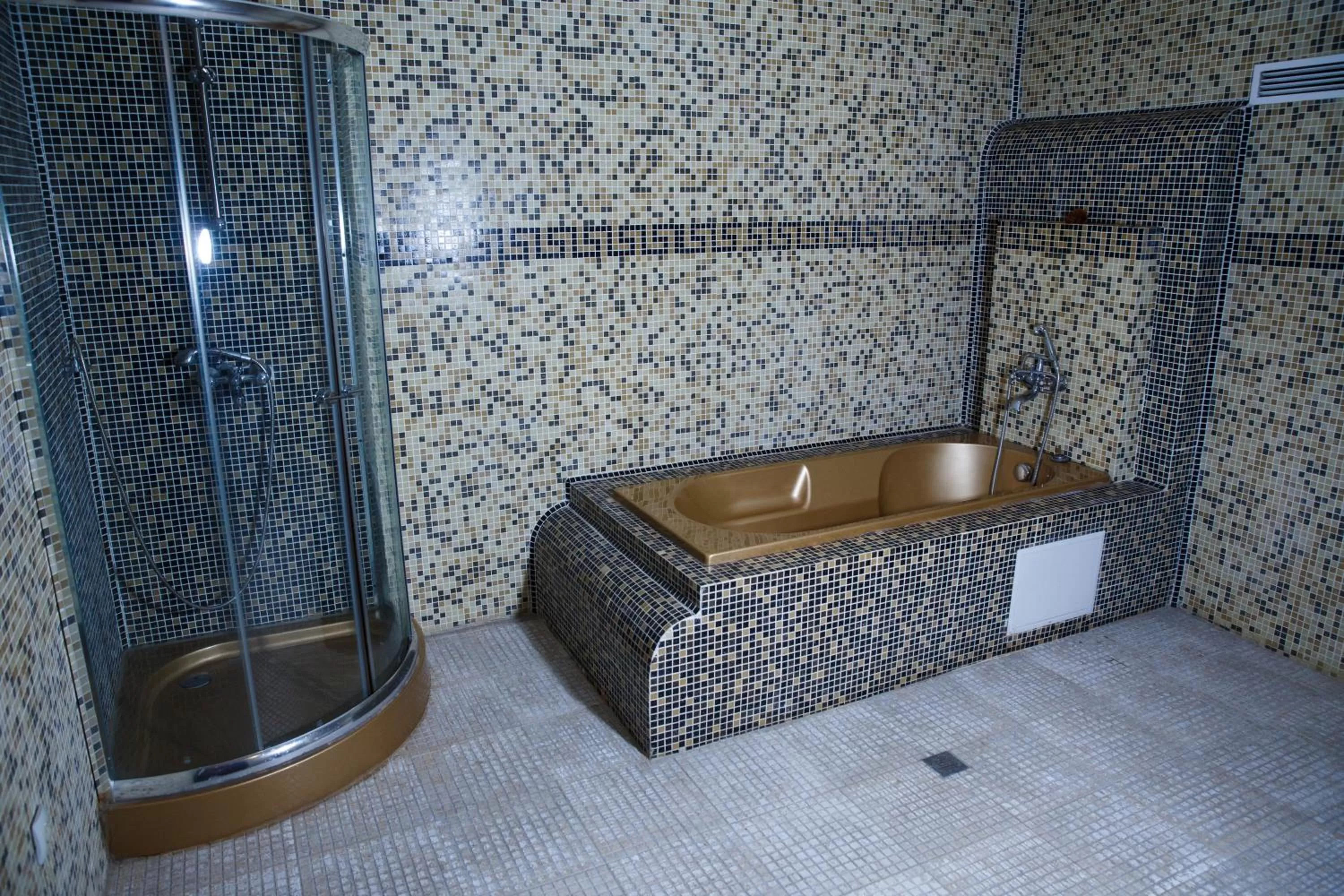 Spa and wellness centre/facilities, Bathroom in Spa Hotel Kleptuza