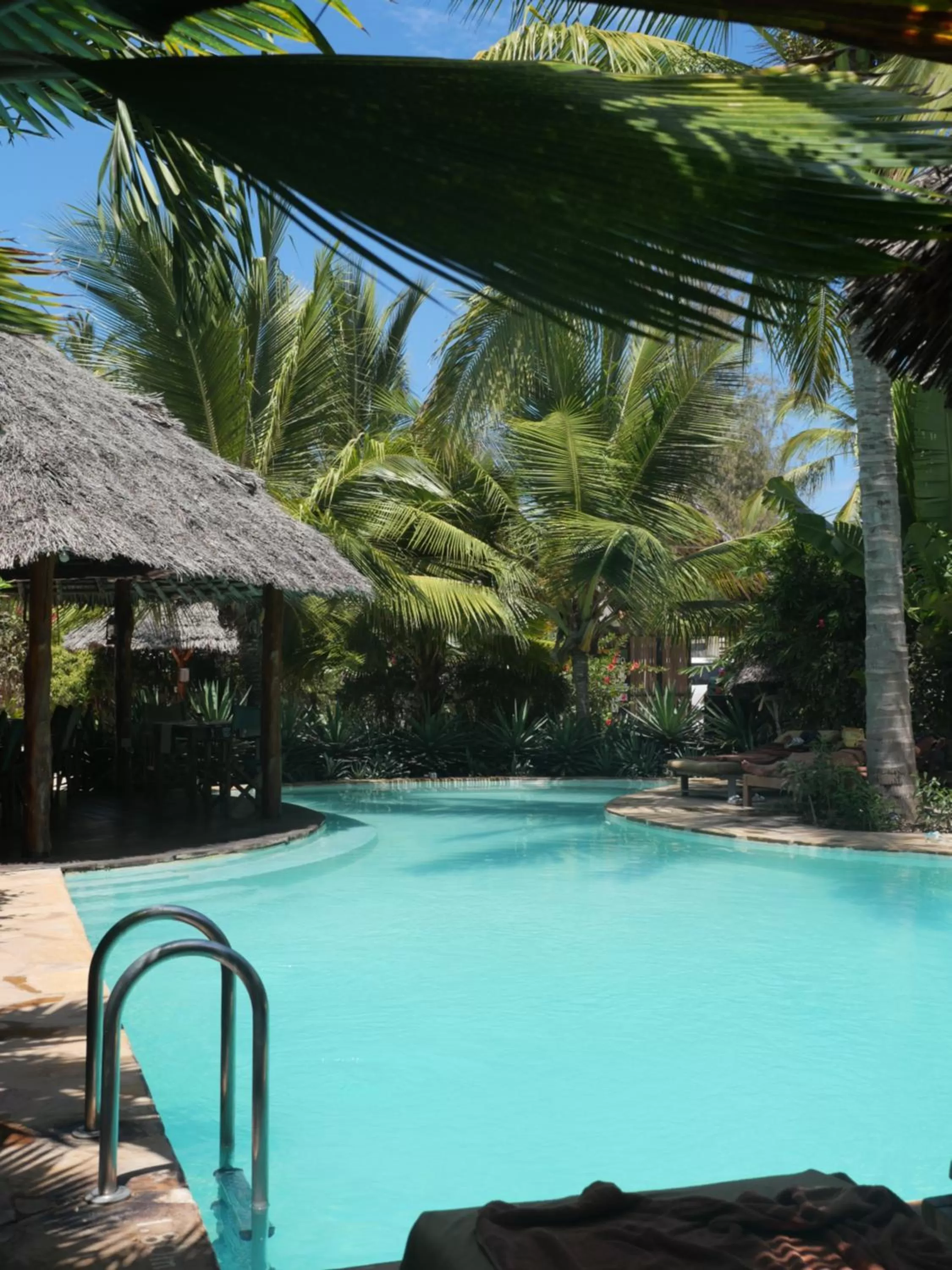 Restaurant/places to eat, Swimming Pool in Aluna Nungwi