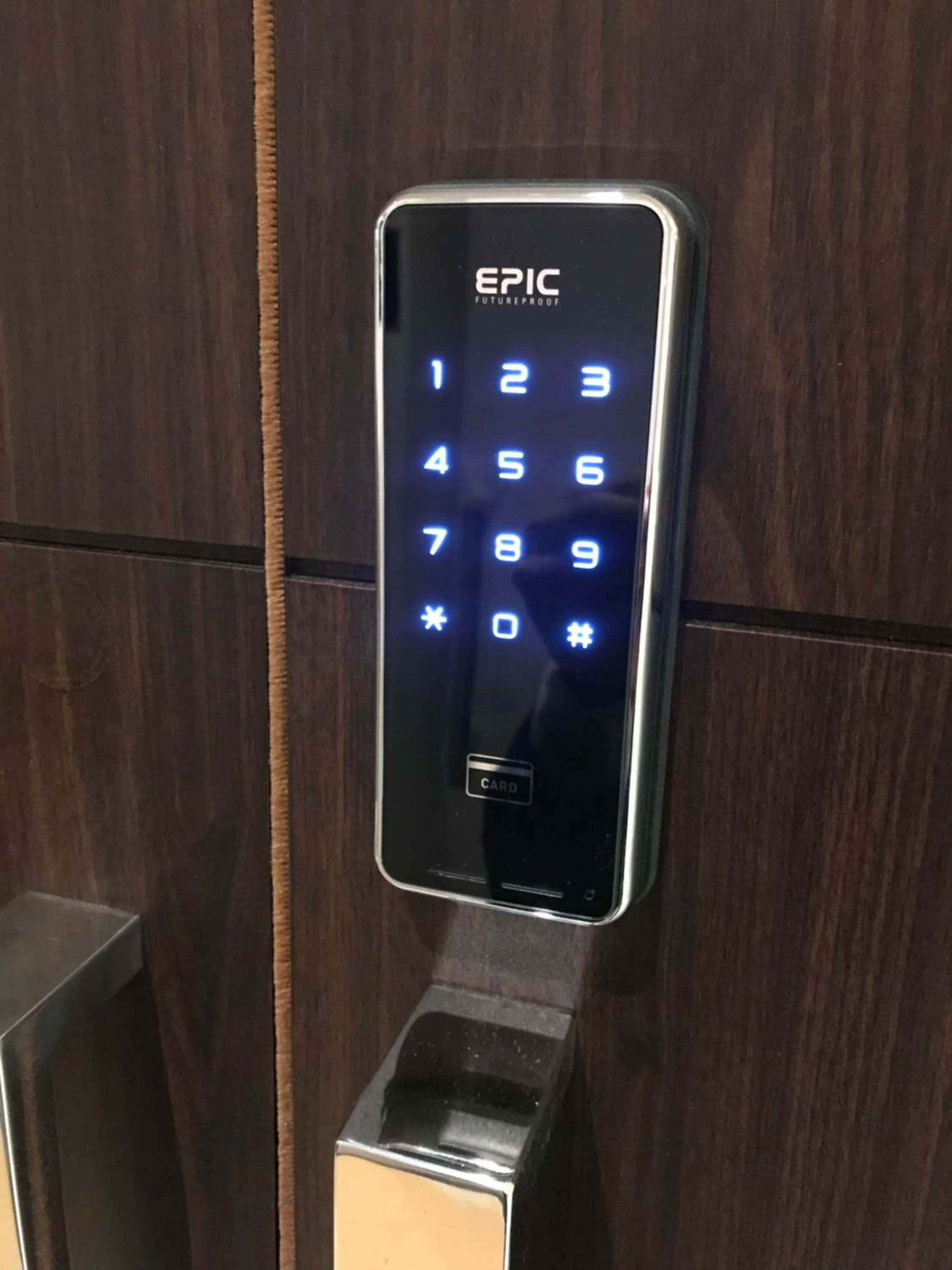 Other in My Hotel Ryugu