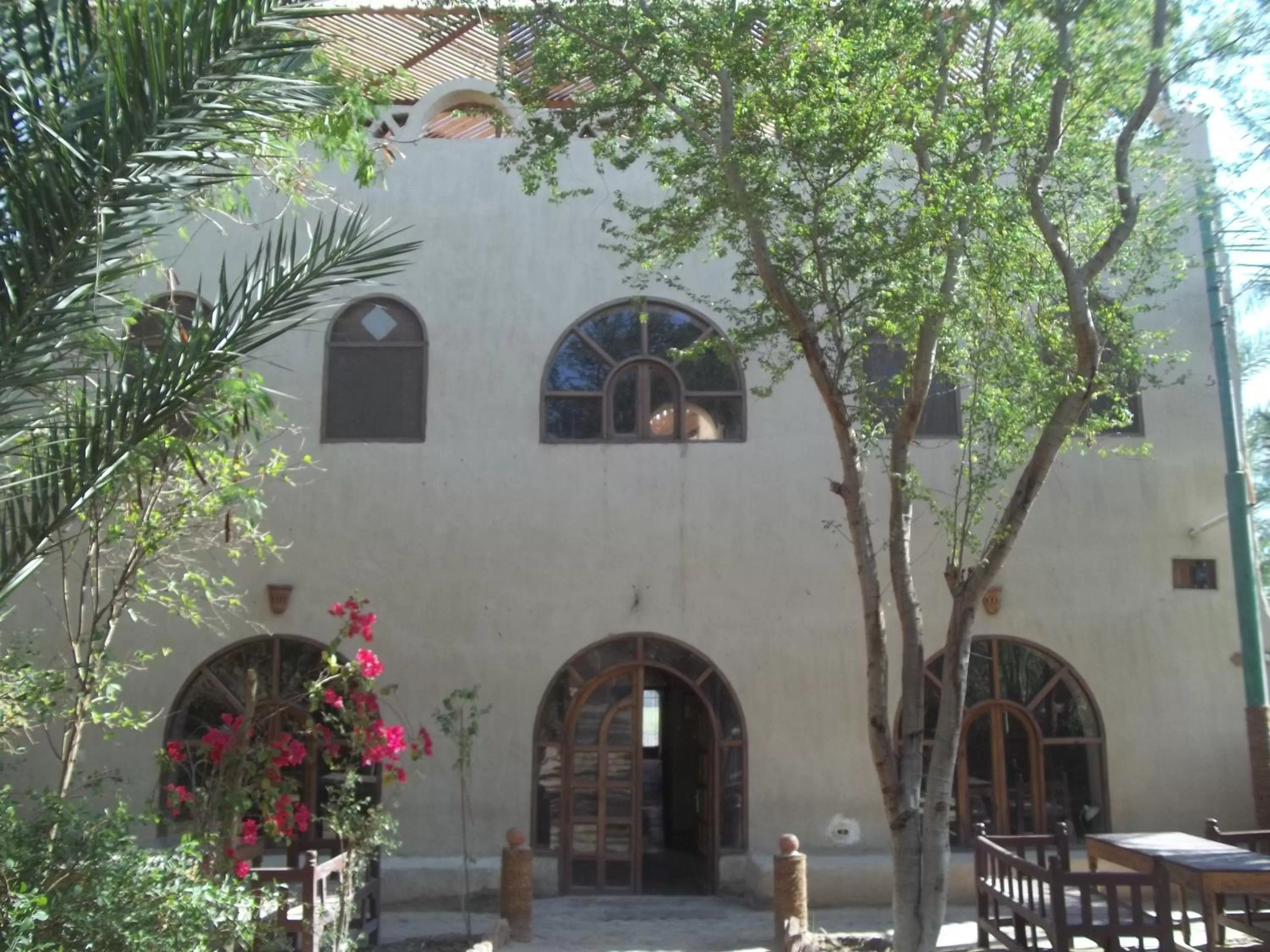 Facade/entrance in Nour El Balad