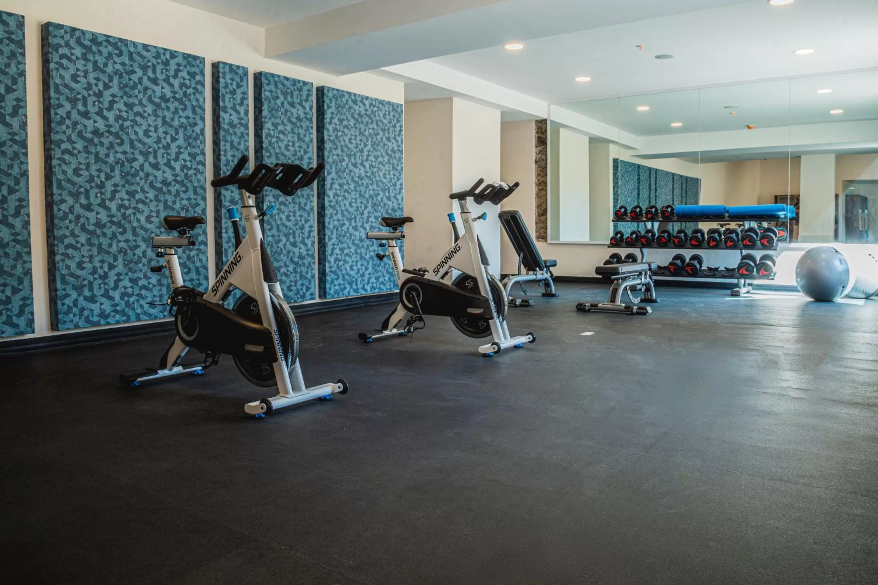 Fitness centre/facilities in Holiday Inn Tlaxcala by IHG