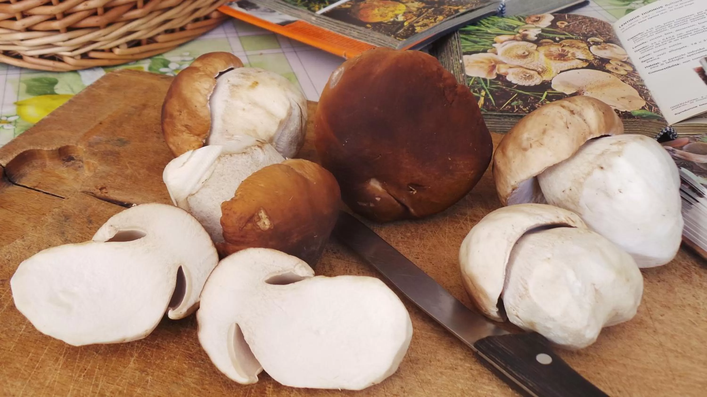 Activities in Albergo Antico