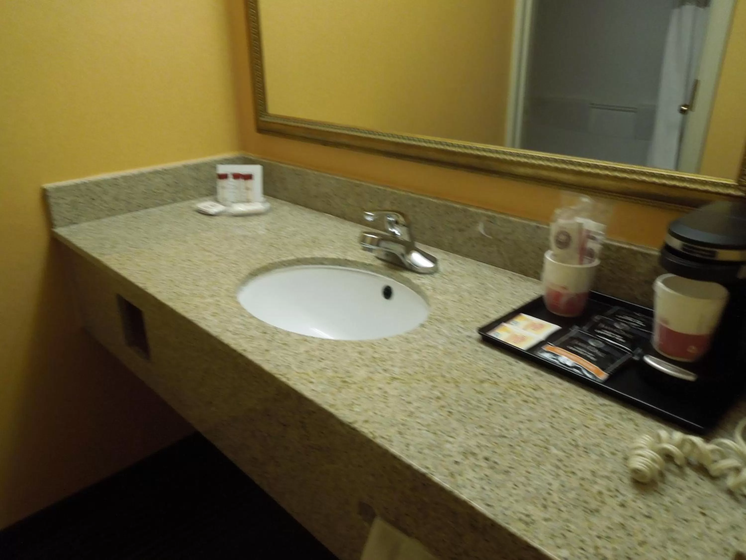 Bathroom in Ramada by Wyndham East Orange