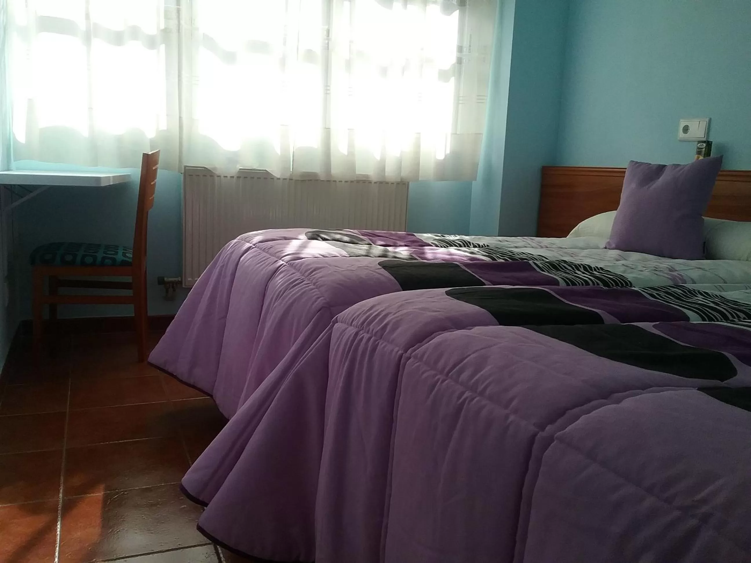 Bed in Hostal Campus