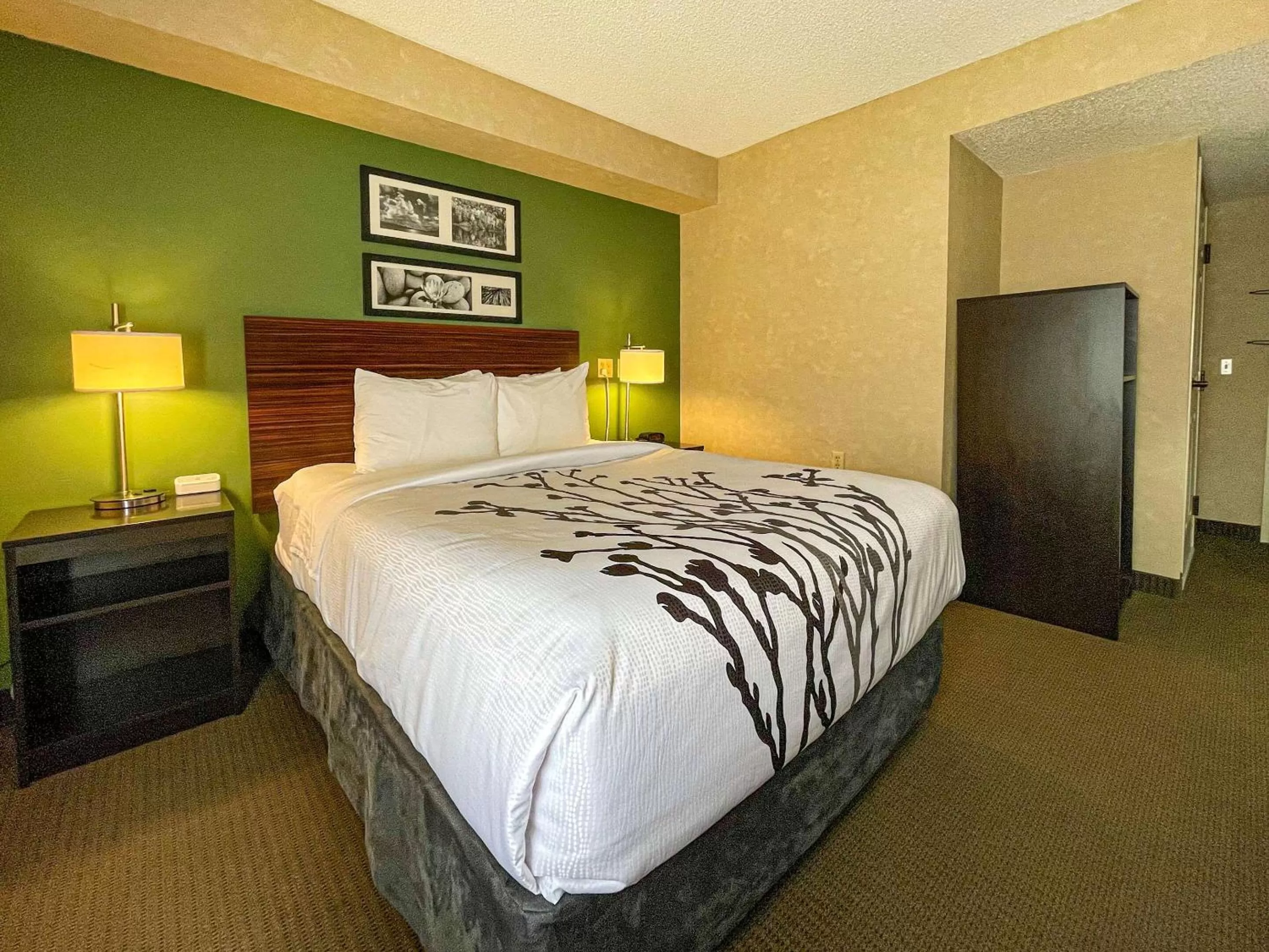 Queen Room with Roll-In Shower - Accessible/Non-Smoking in Sleep Inn near Penn State - State College