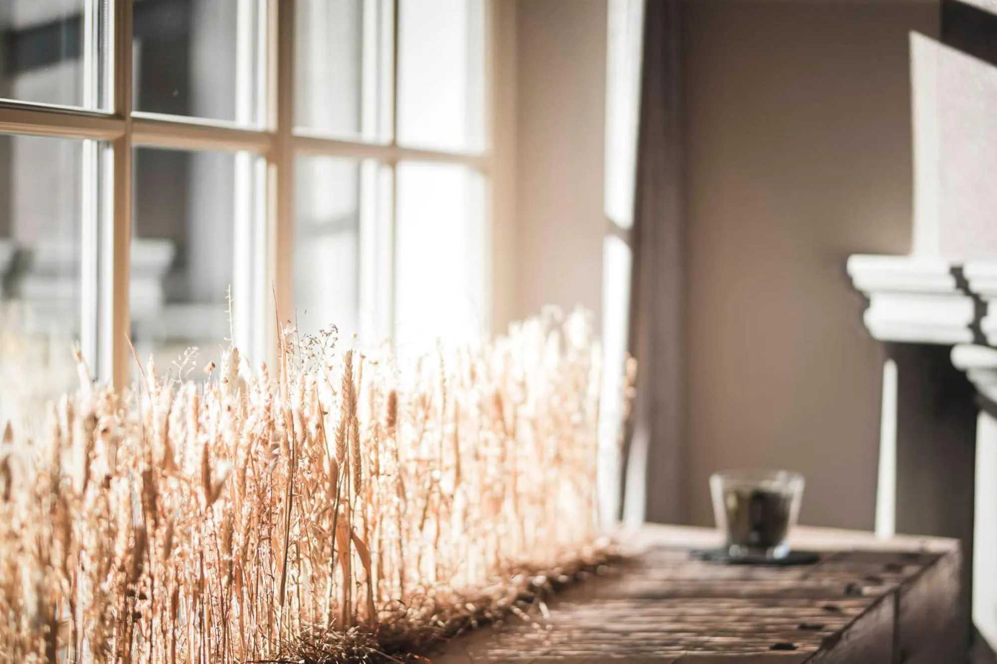 Day in Majestic - Unique Spa Resort