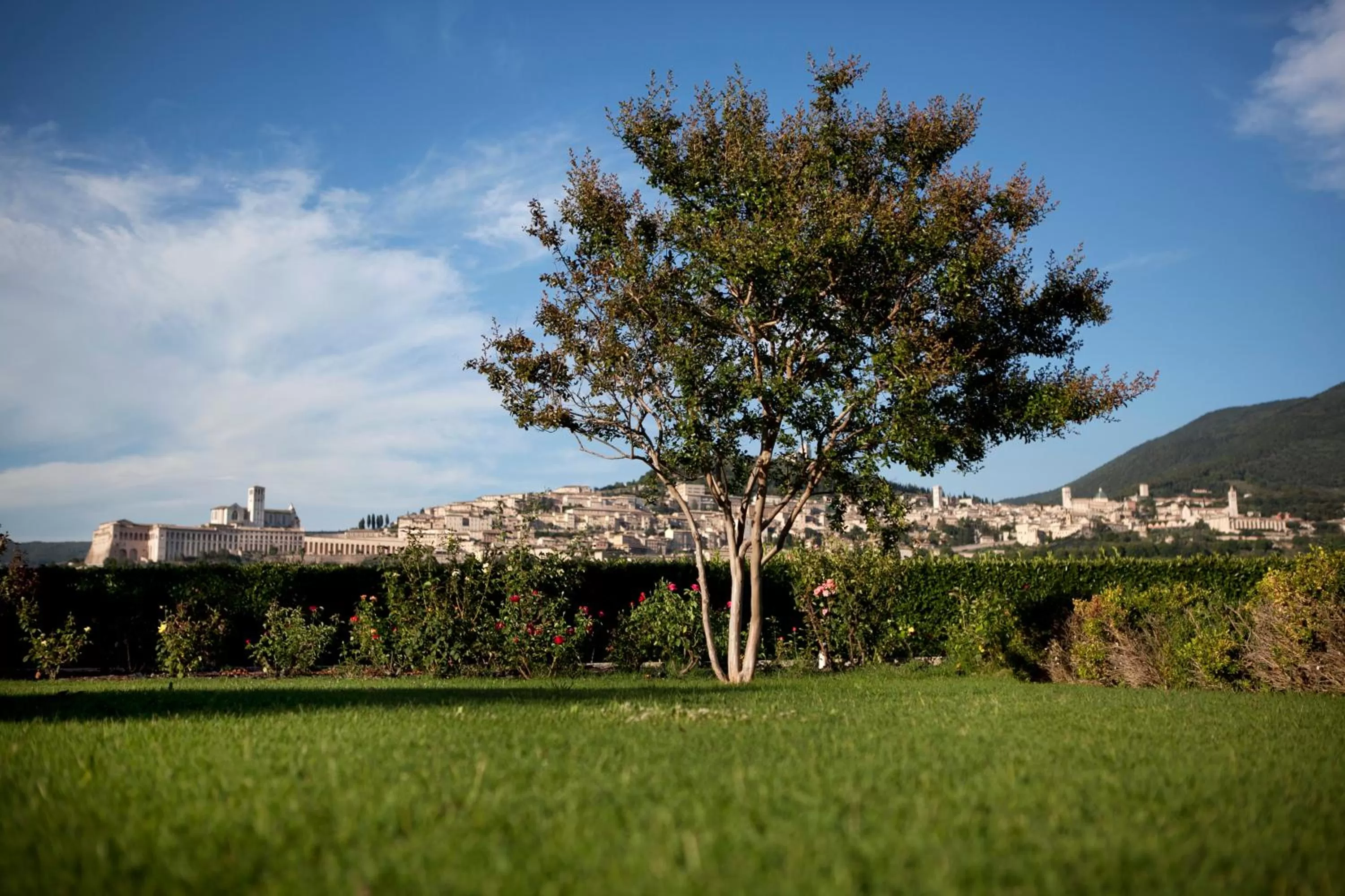 Day in Hotel Bellavista