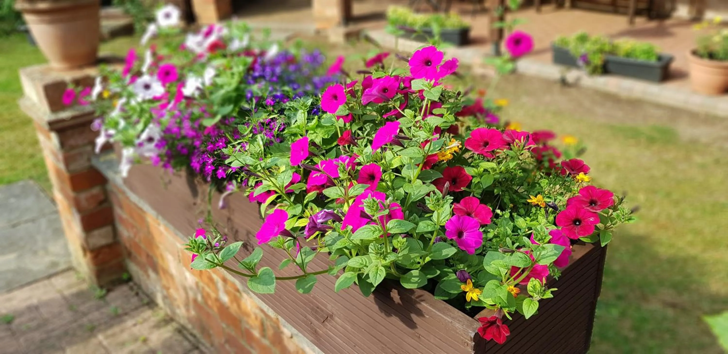 Garden in Beech House Hotel