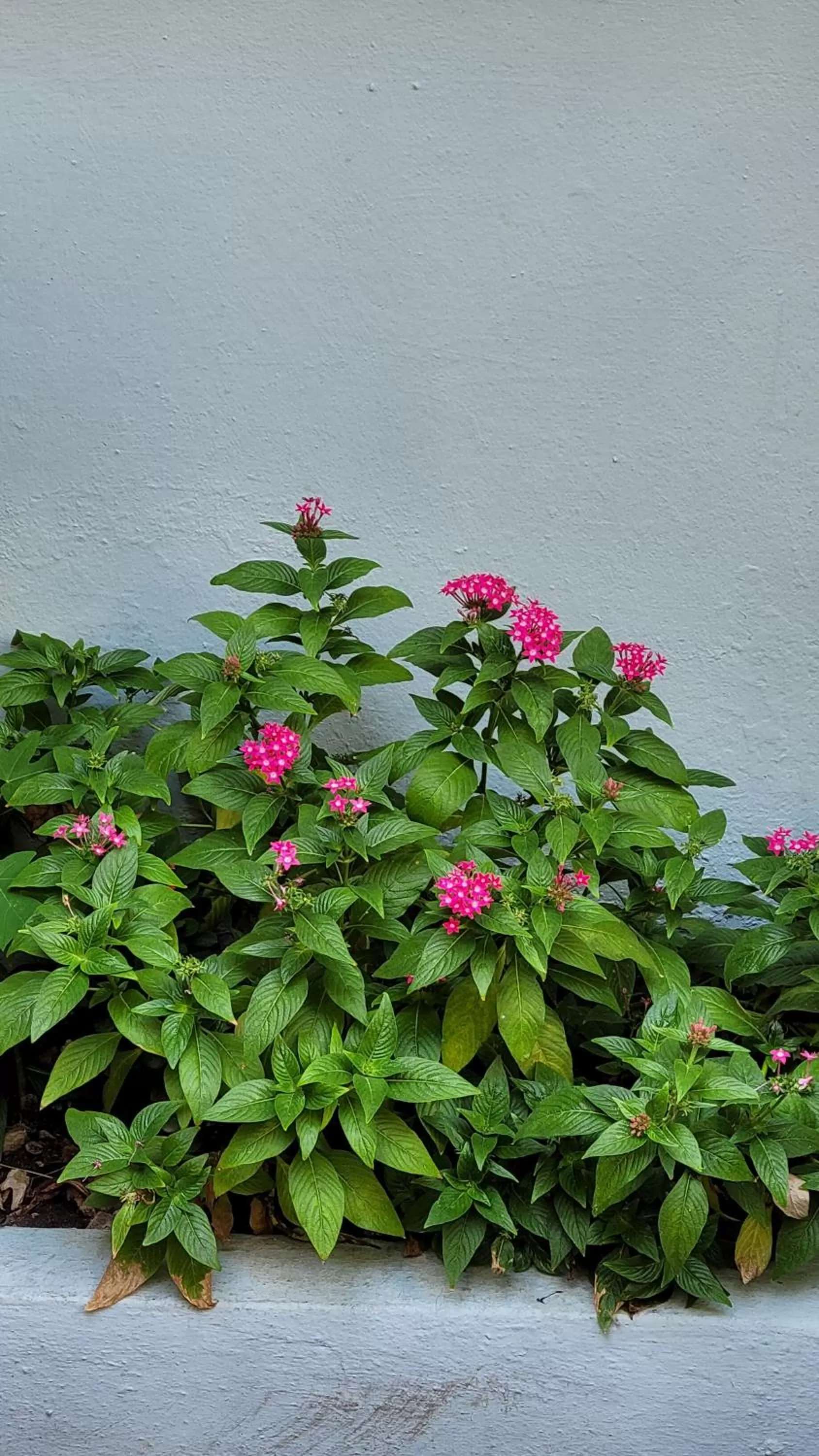 Day in Hotel Class Colonial