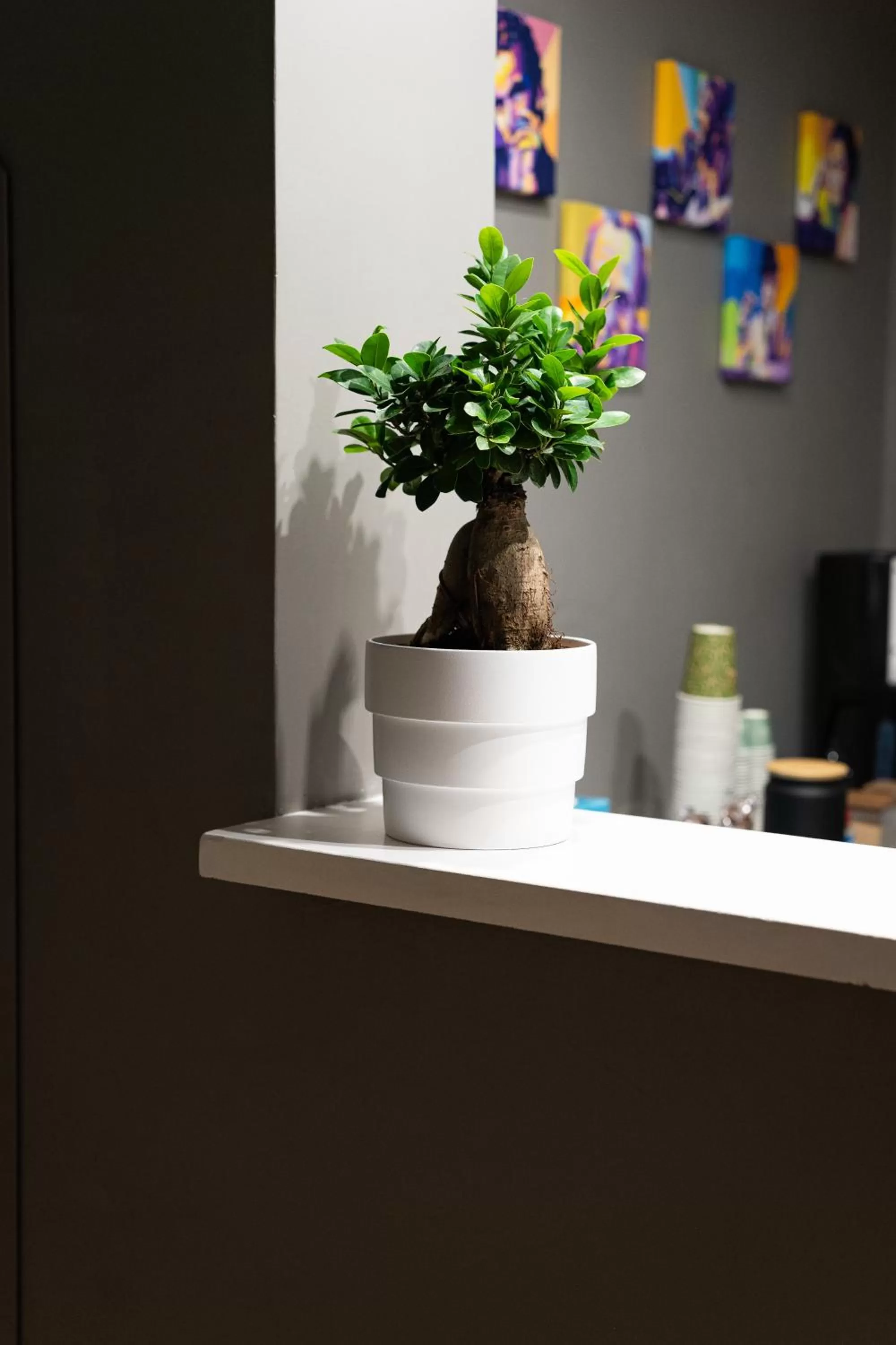 Decorative detail in Tiè tiè