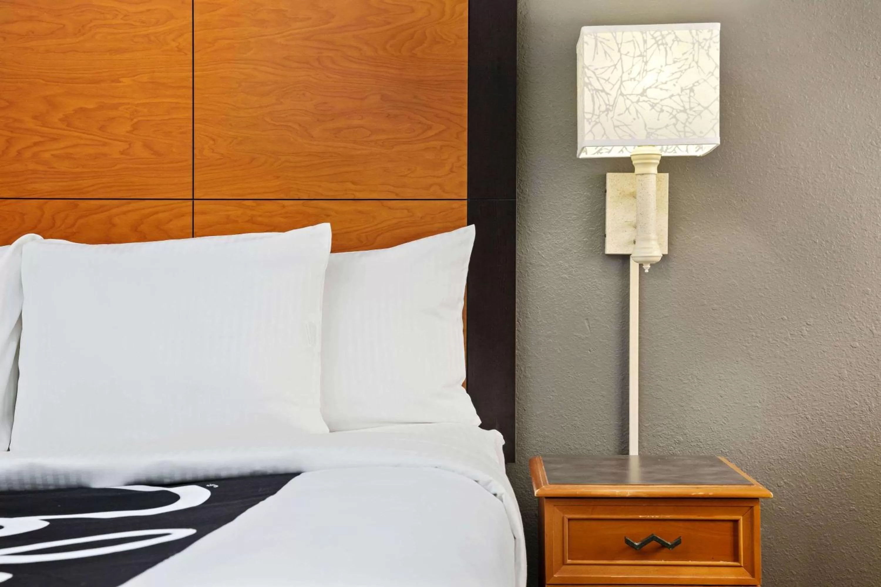 Photo of the whole room, Bed in La Quinta by Wyndham Macon