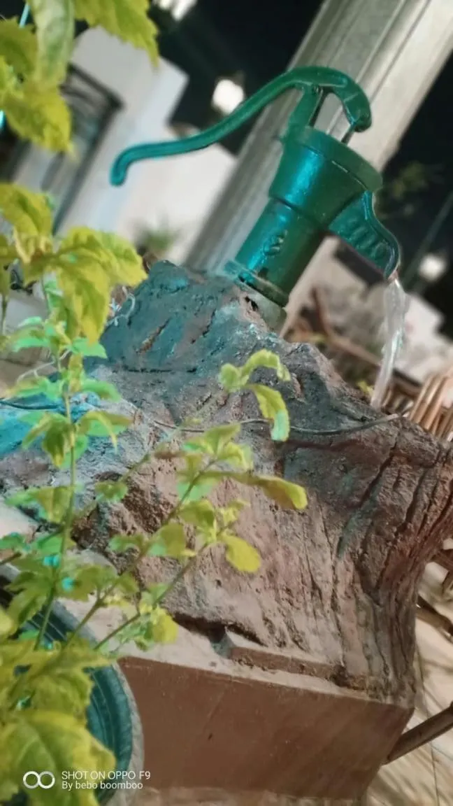 Balcony/Terrace in Cecilia Hostel