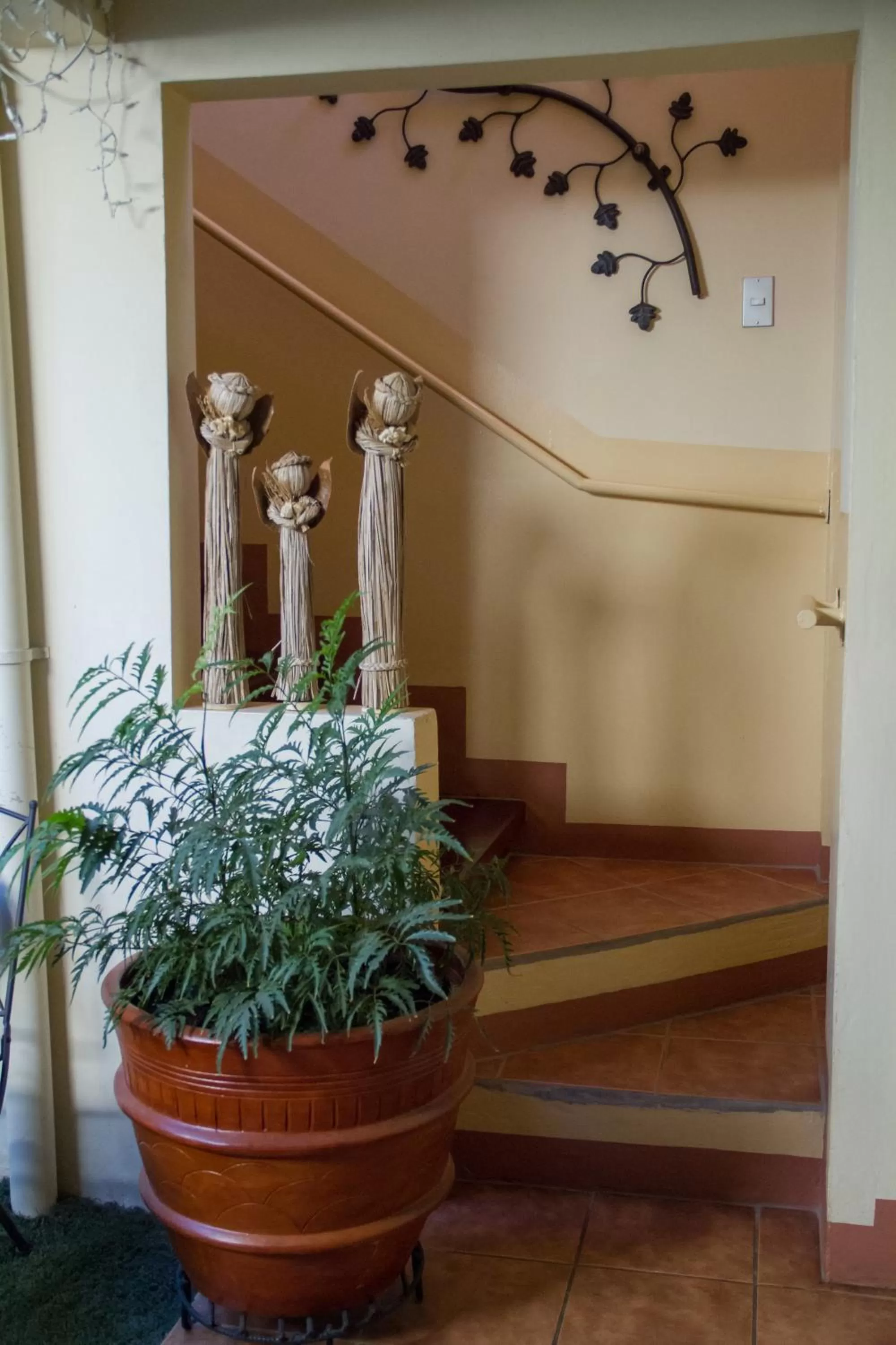 Area and facilities in Hotel Colibri