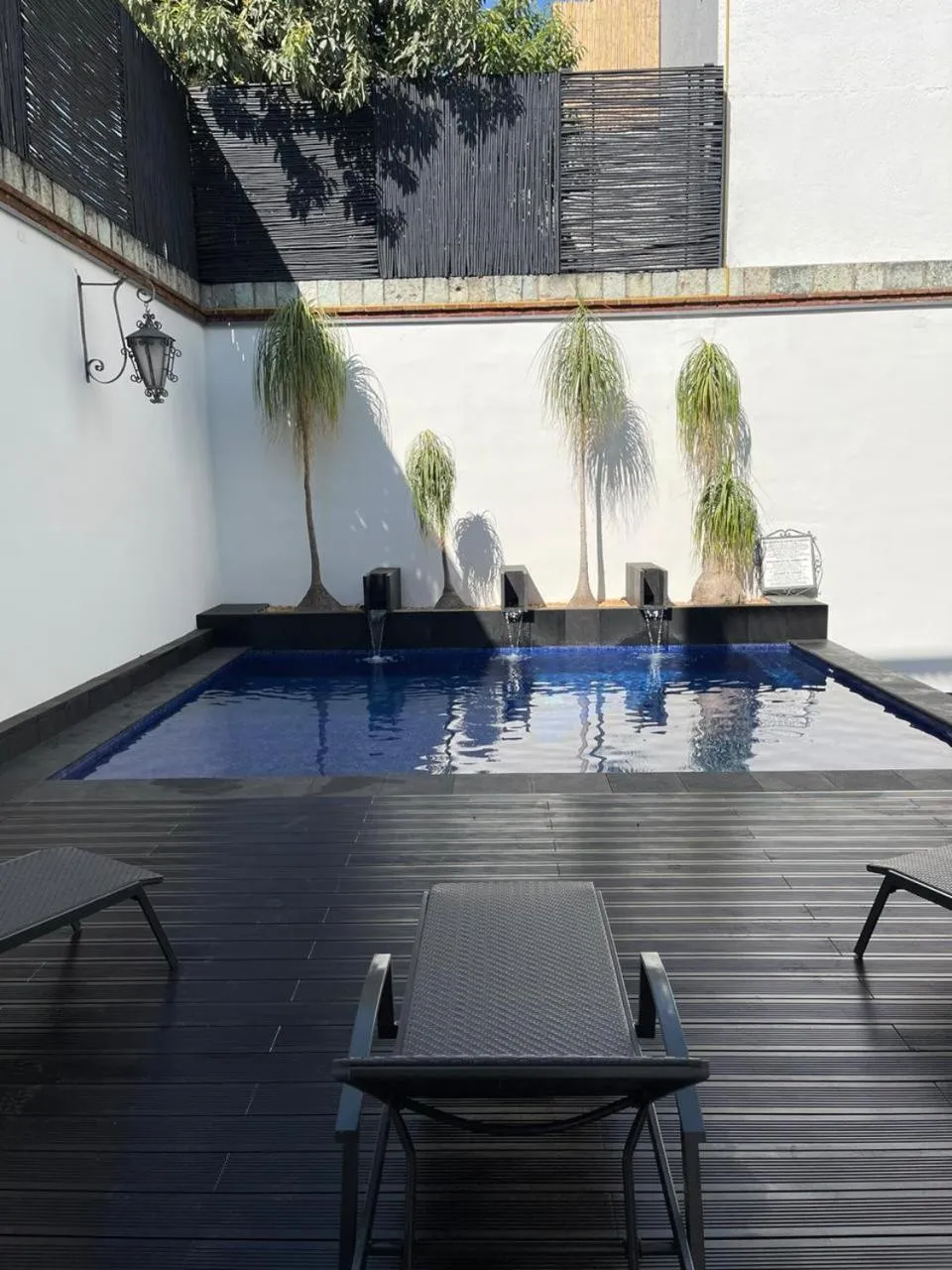 Patio in Hotel Boutique Naura Centro