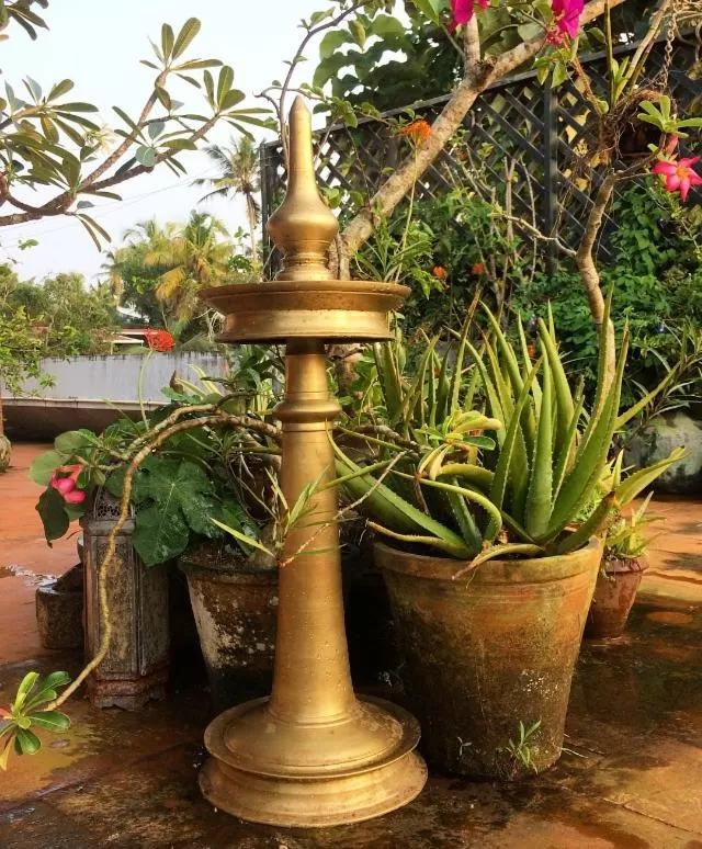 Garden in Villa Jacaranda