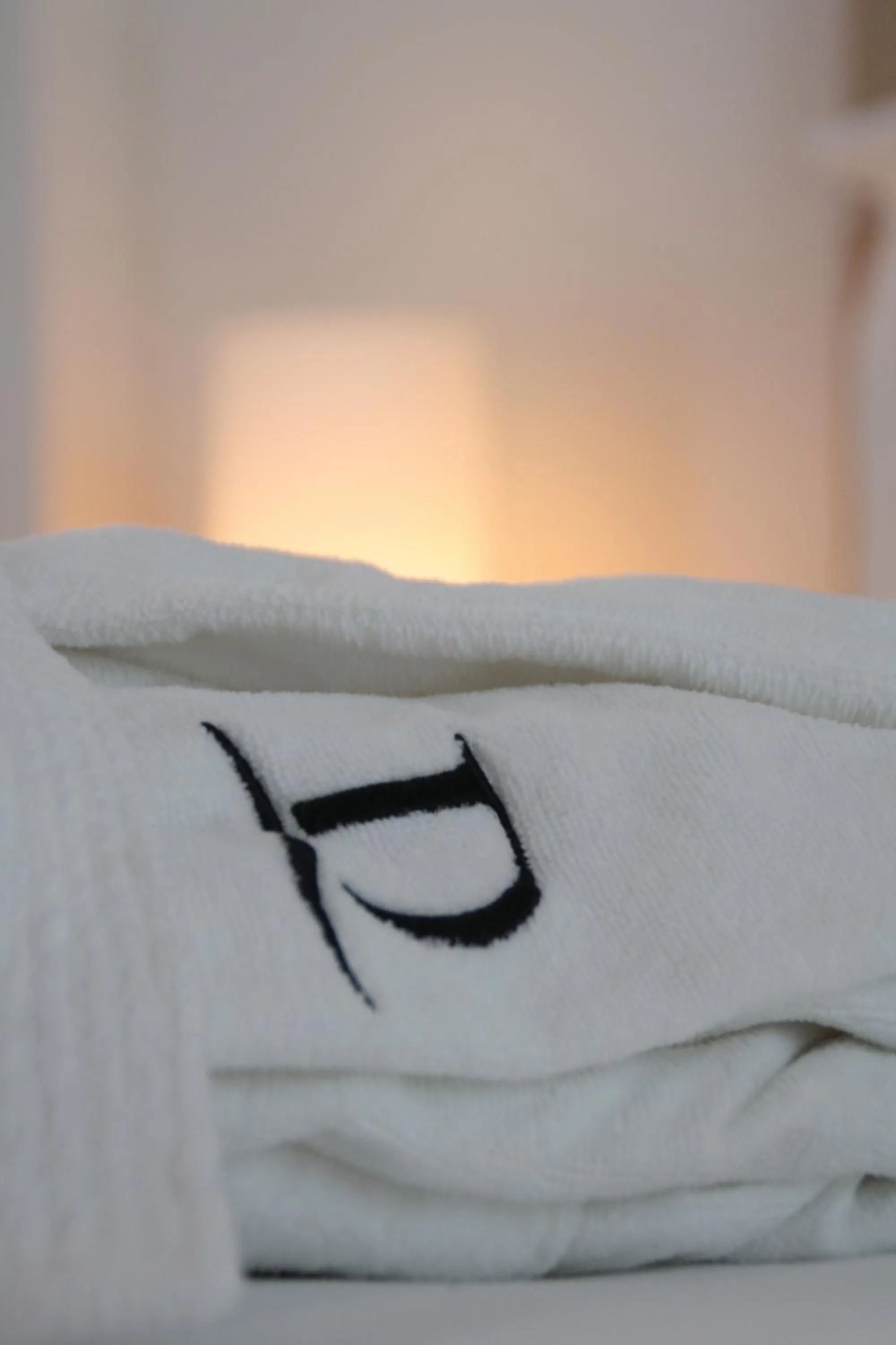 Decorative detail in Domina Milano Fiera