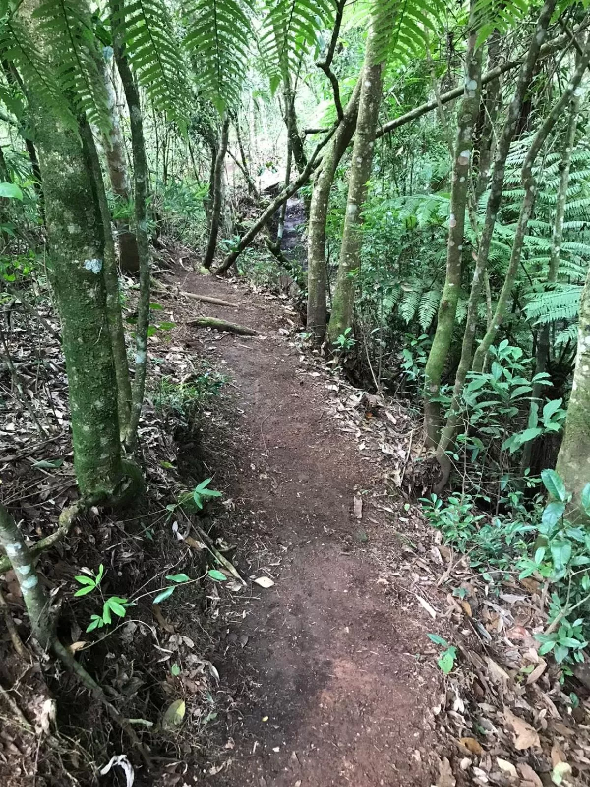 Hiking in MD Luar da Montanha