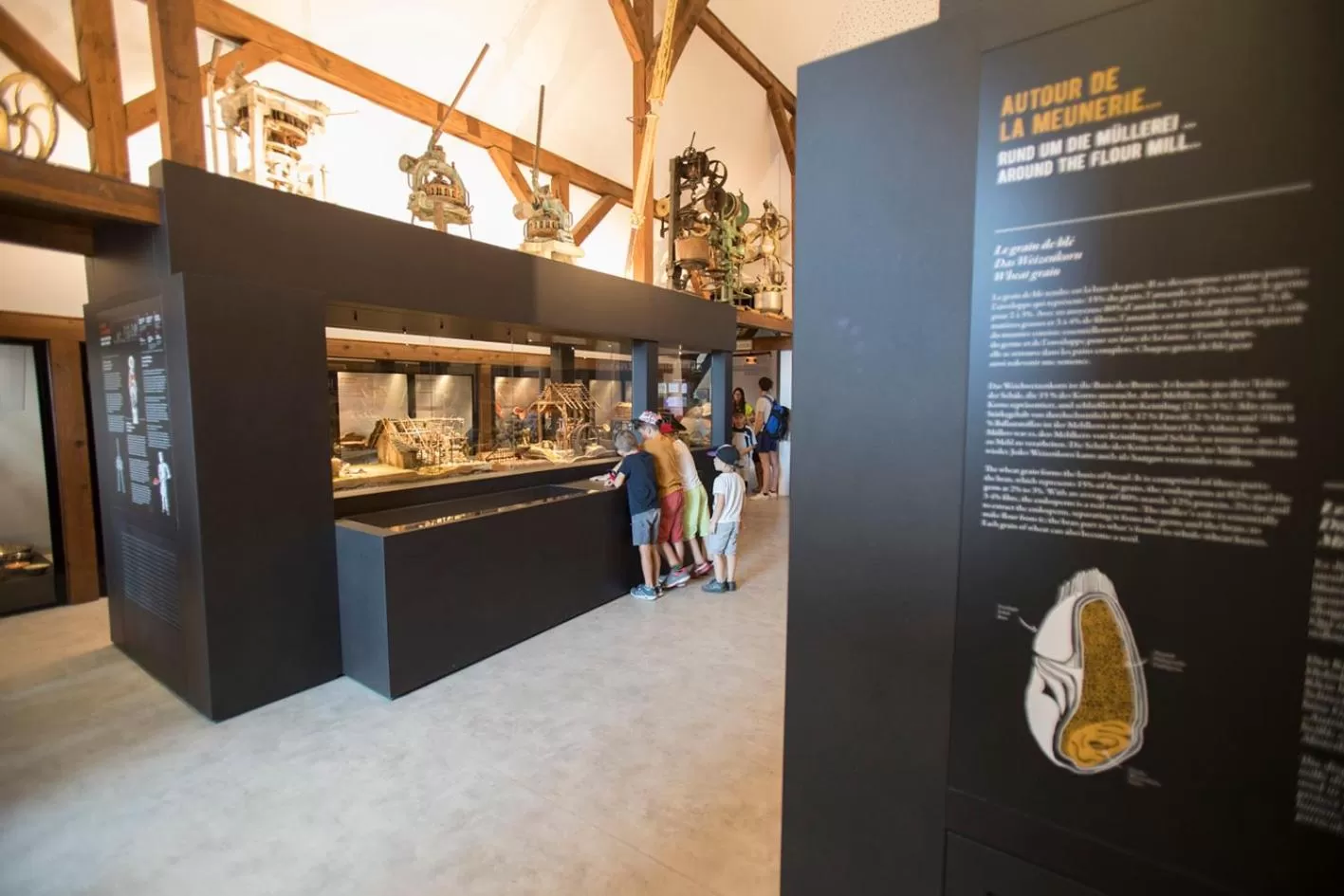 Nearby landmark in Ibis Budget Sélestat