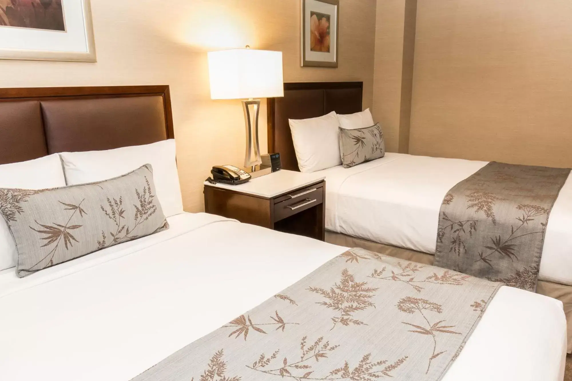 Double Room with Two Double Beds - Disability Access in The Belvedere Hotel Double Room with Two Double Beds - Disability Access in The Belvedere Hotel