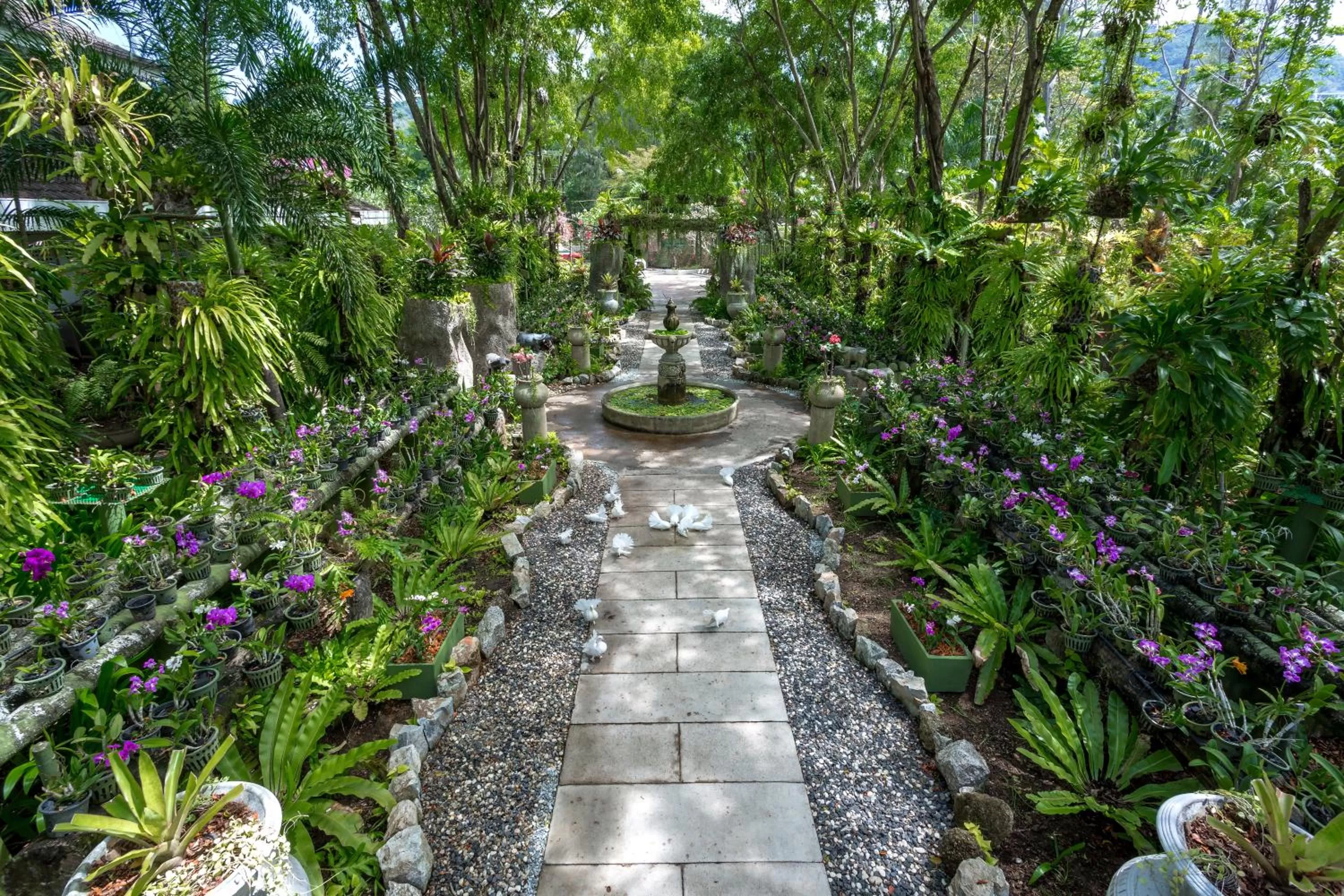 Day in Thavorn Palm Beach Resort Phuket