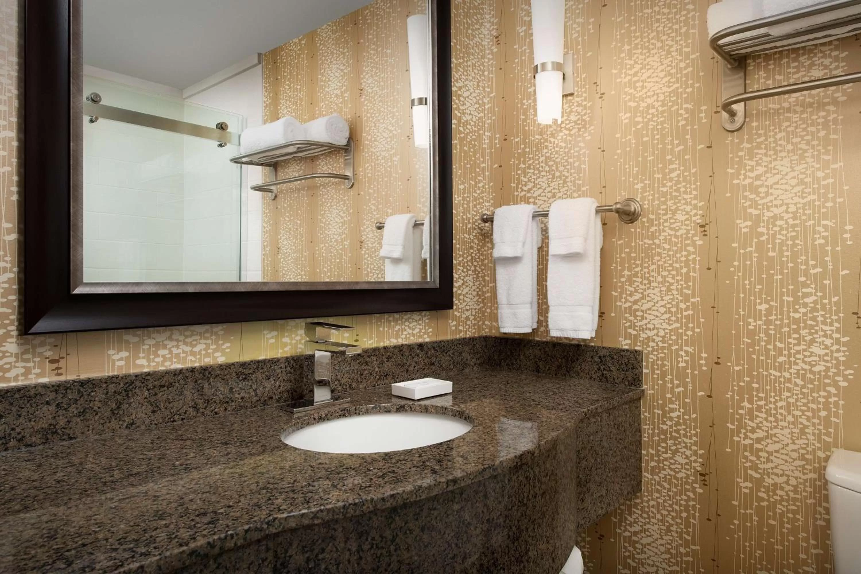 Bathroom in Hilton Garden Inn Charlotte/Mooresville