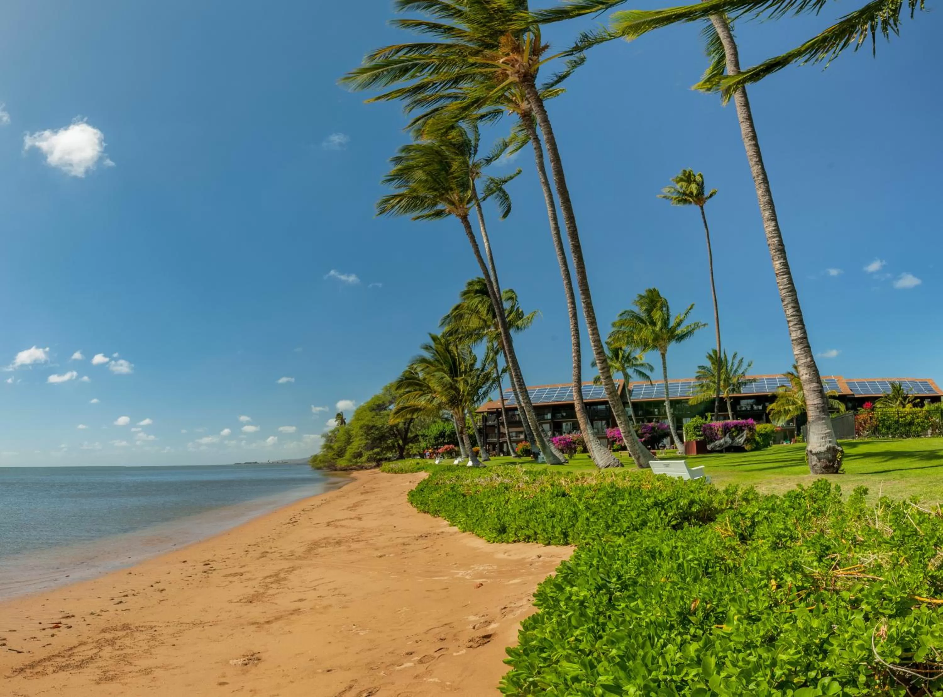 Beach in Castle at Moloka'i Shores