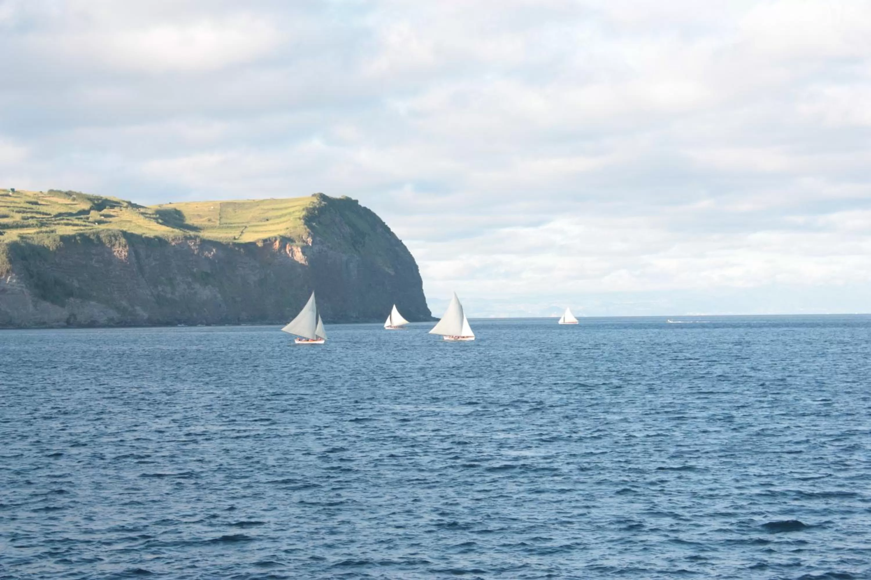 Area and facilities in Faial Marina Apartments 1